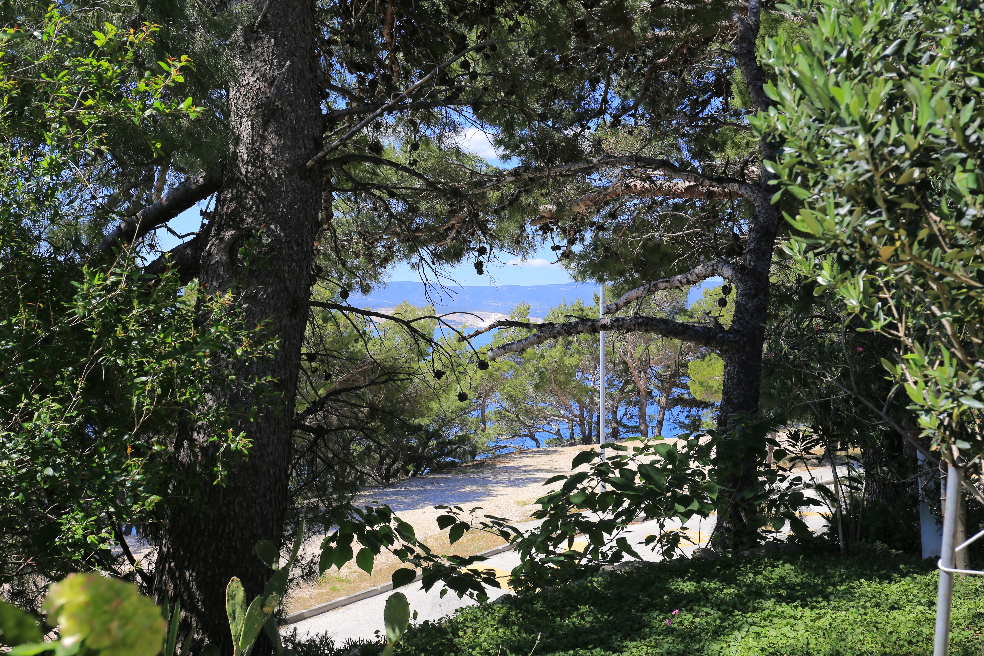 One bedroom apartment near beach Lokva Rogoznica, Omiš  A-b