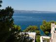 Nemira, Terrace - view in the apartment, (pet friendly) and WiFi.