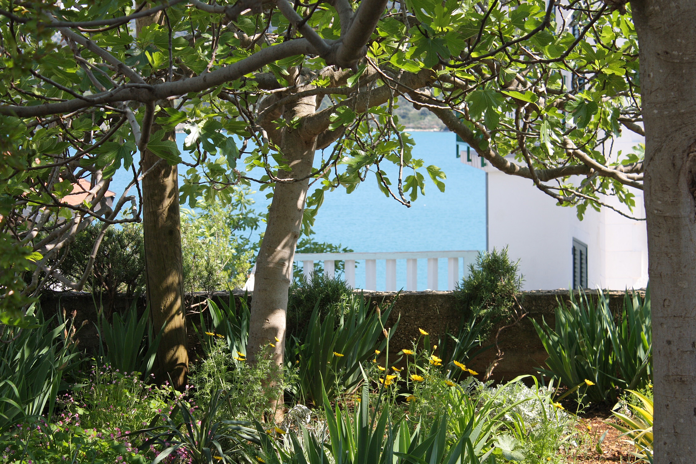 Dvosobni apartman s terasom i pogledom na more Marina, Trogir  A-a