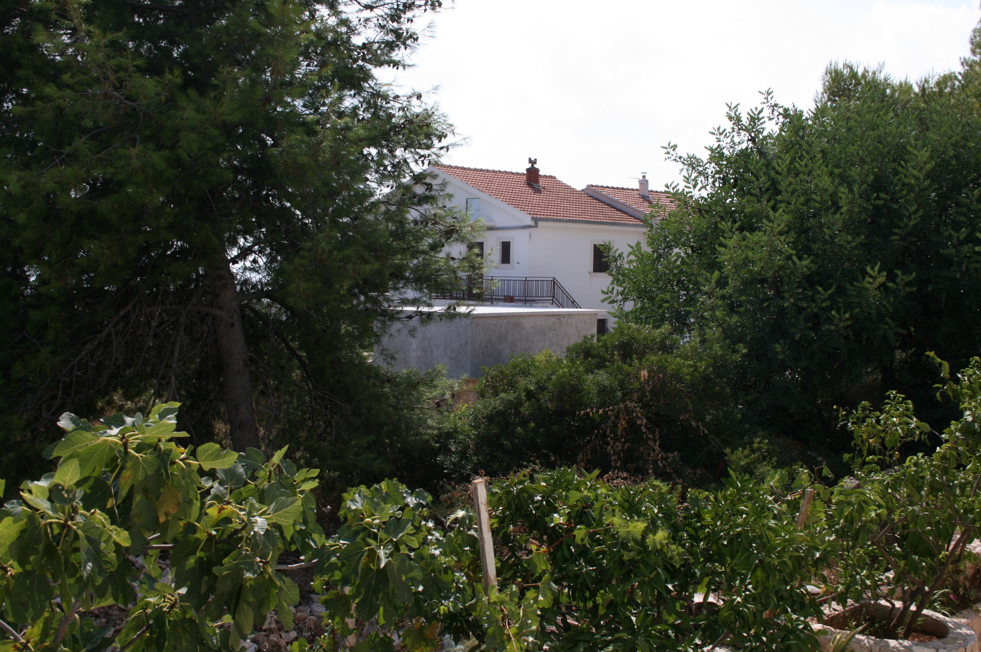 One bedroom apartment with terrace Rastići, Čiovo  A-a