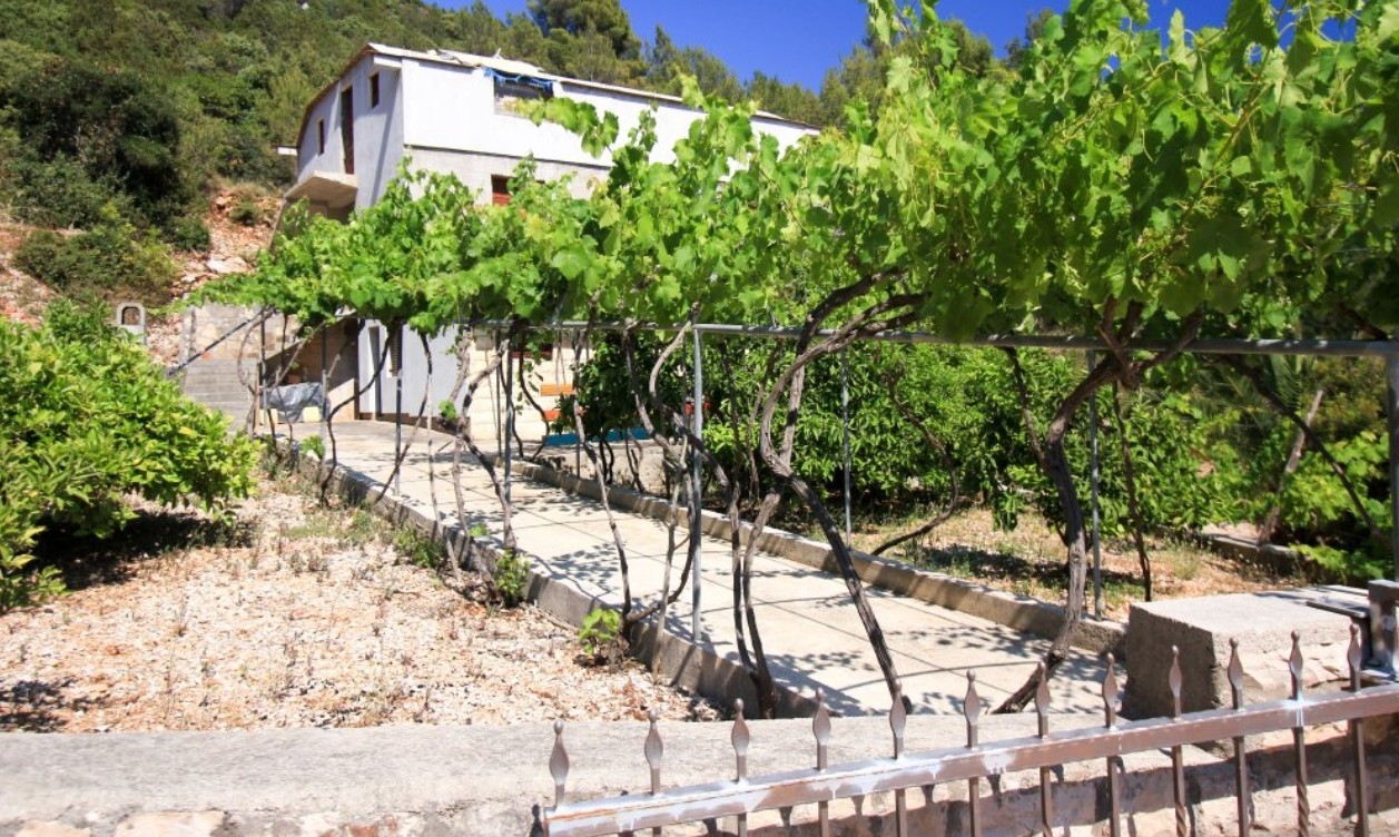 Top Hvar Srhov Dolac Top Hvar Srhov Dolac
