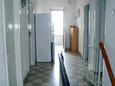 Hallway Mali Rat, Hallway in the apartment, WiFi.