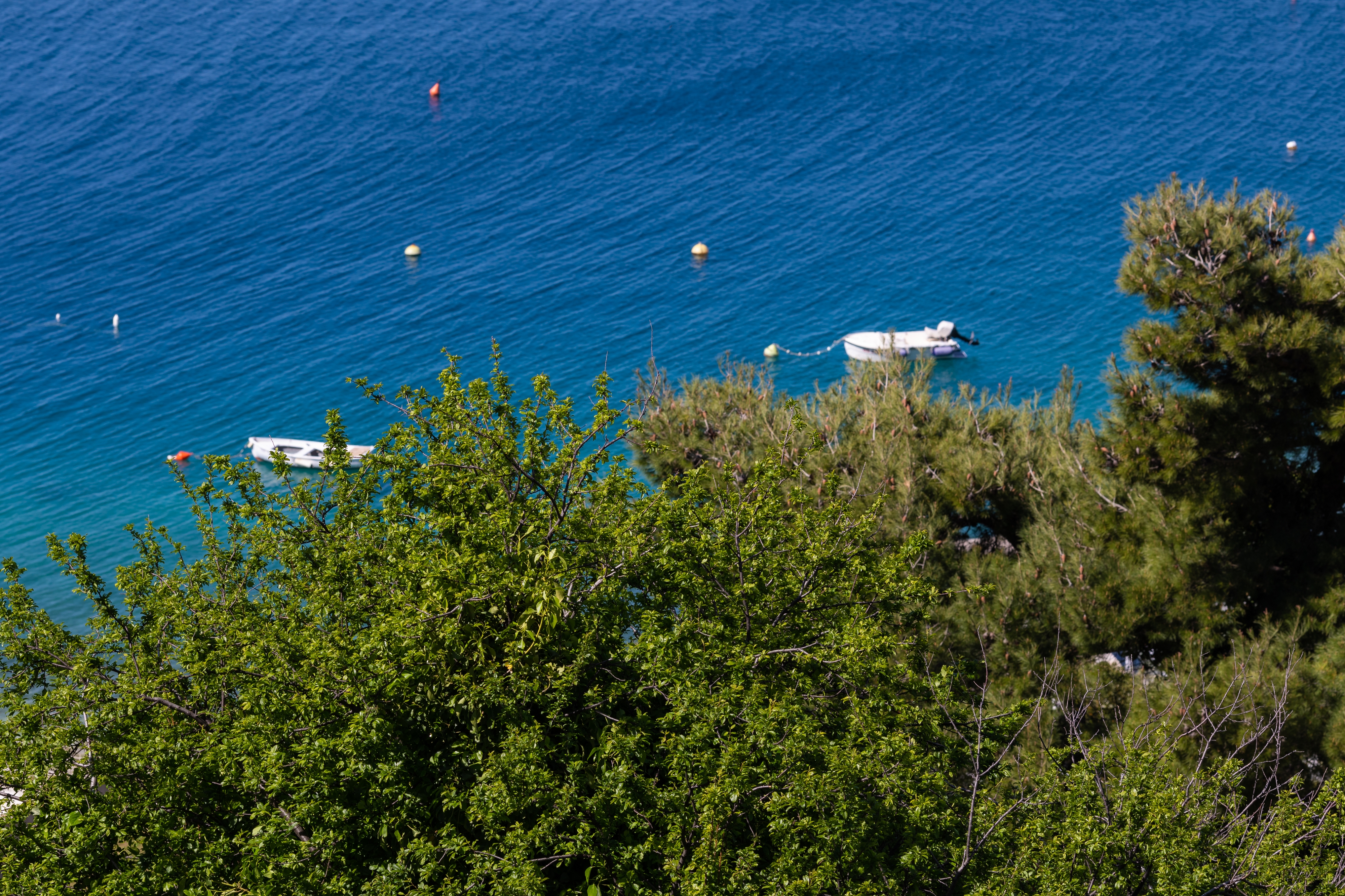 Studio flat with balcony and sea view Nemira, Omiš  AS-a