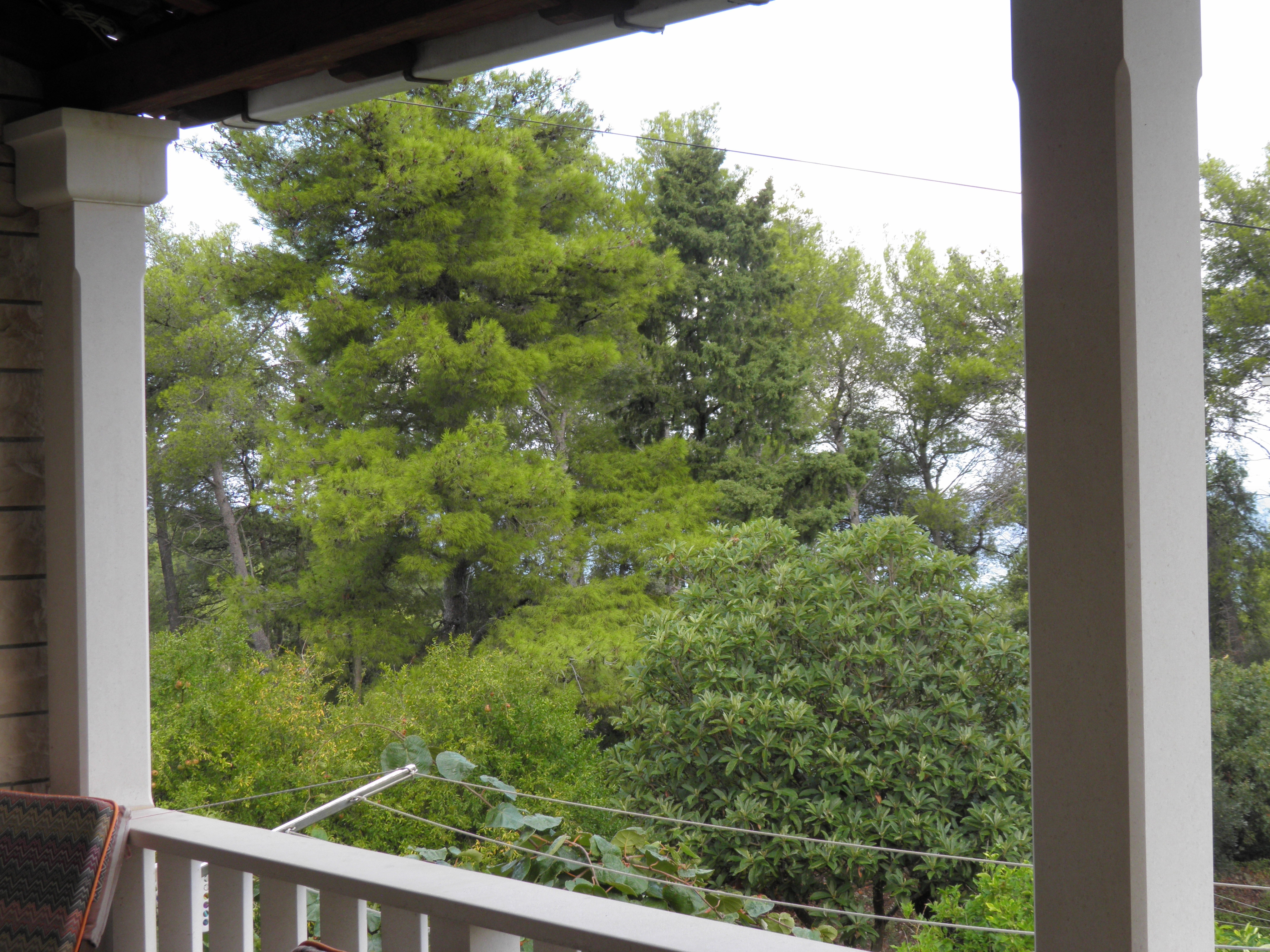 Three bedroom apartment with terrace Mirca, Brač  A-a