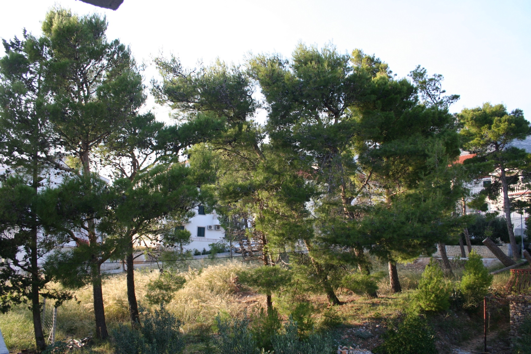 Top Brač Bol Top Brač Bol