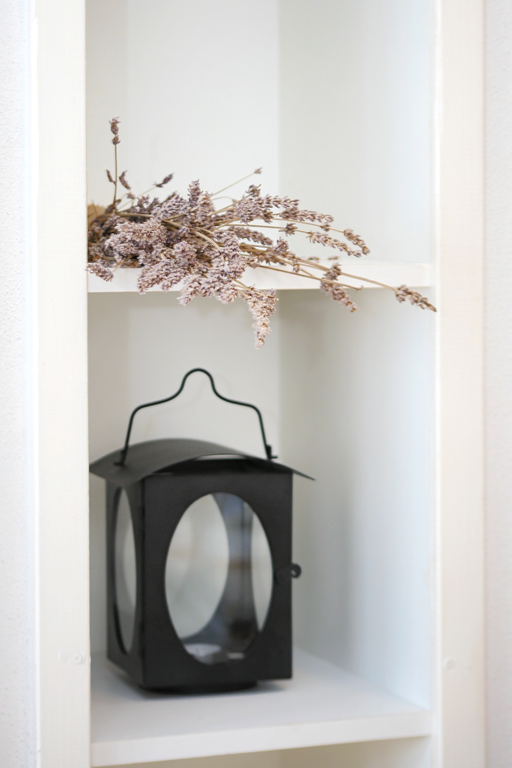 Top Brač Postira Top Brač Postira