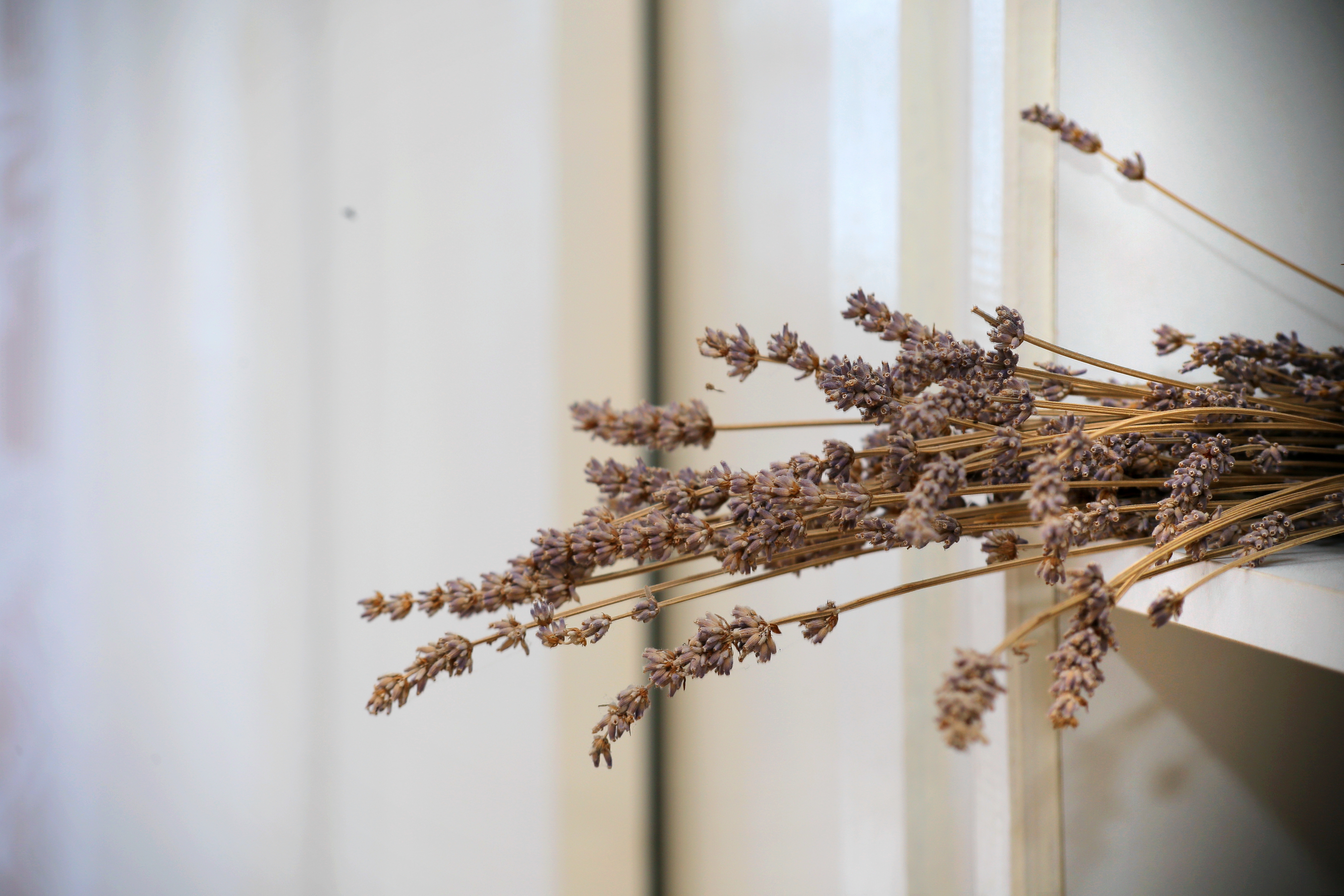 Top Brač Postira Top Brač Postira