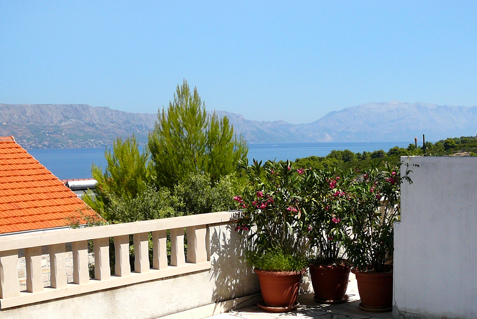 Top Brač Postira Top Brač Postira