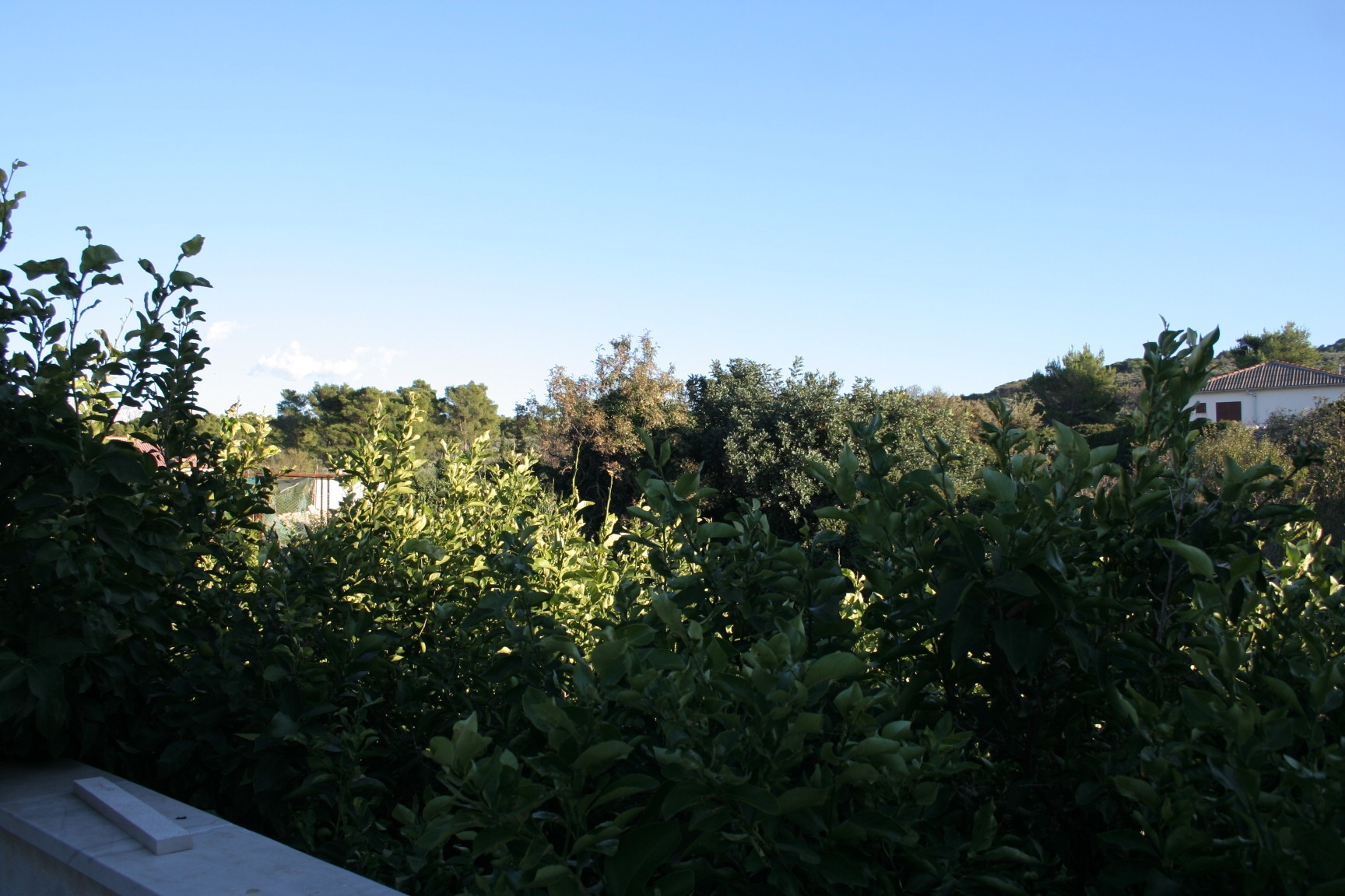 Top Brač Povlja Top Brač Povlja