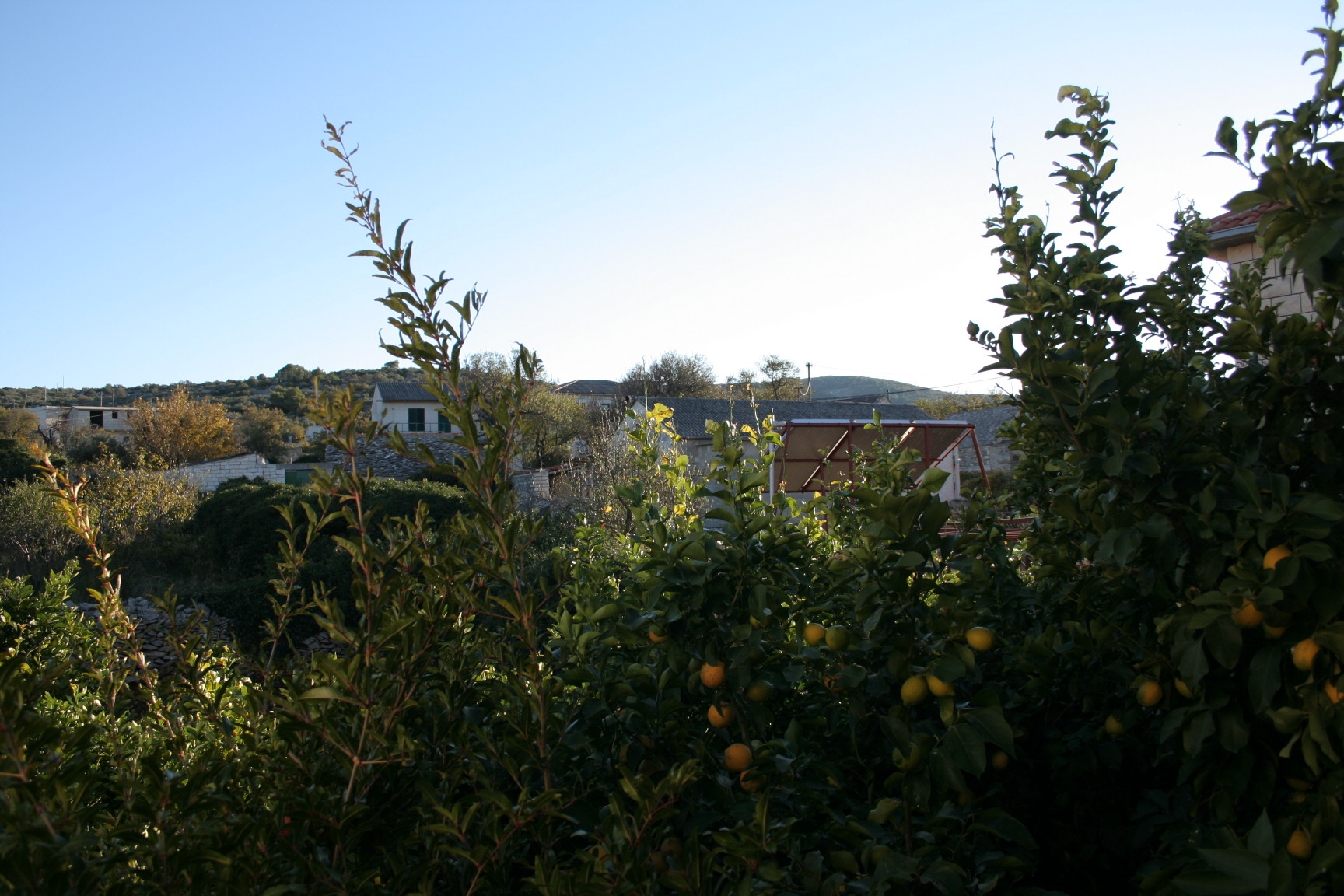 Top Brač Povlja Top Brač Povlja