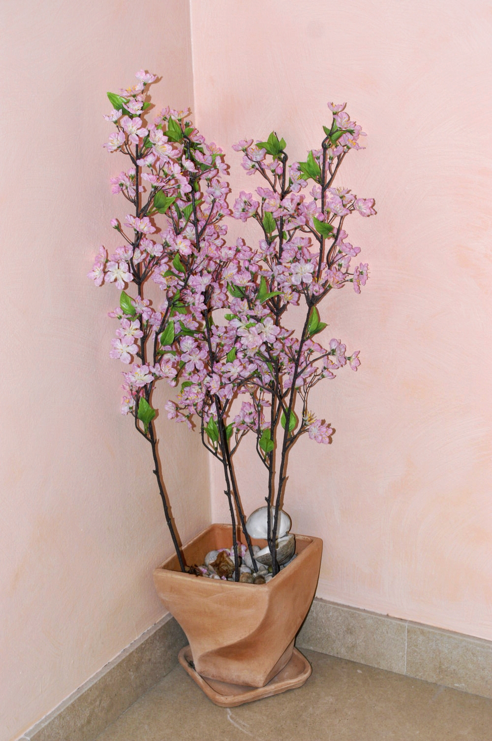 Top Brač Bol Top Brač Bol