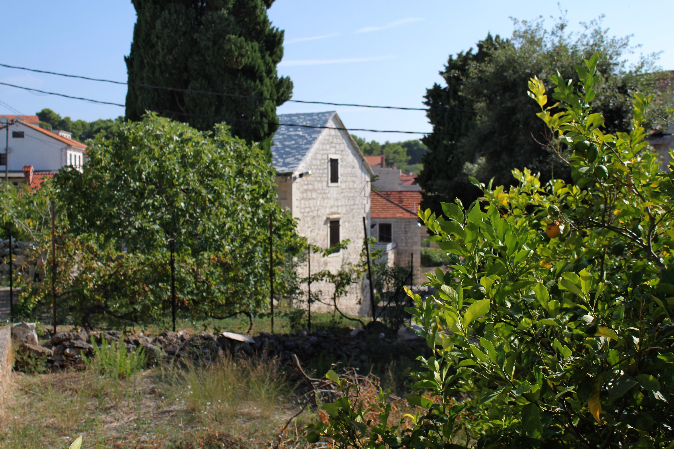 Top Brač Sumartin Top Brač Sumartin