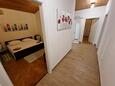 Mimice, Hallway in the apartment, (pet friendly) and WiFi.