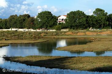 Property Zaton, Zadar, Property 298 - Apartments near sea with sandy beach.