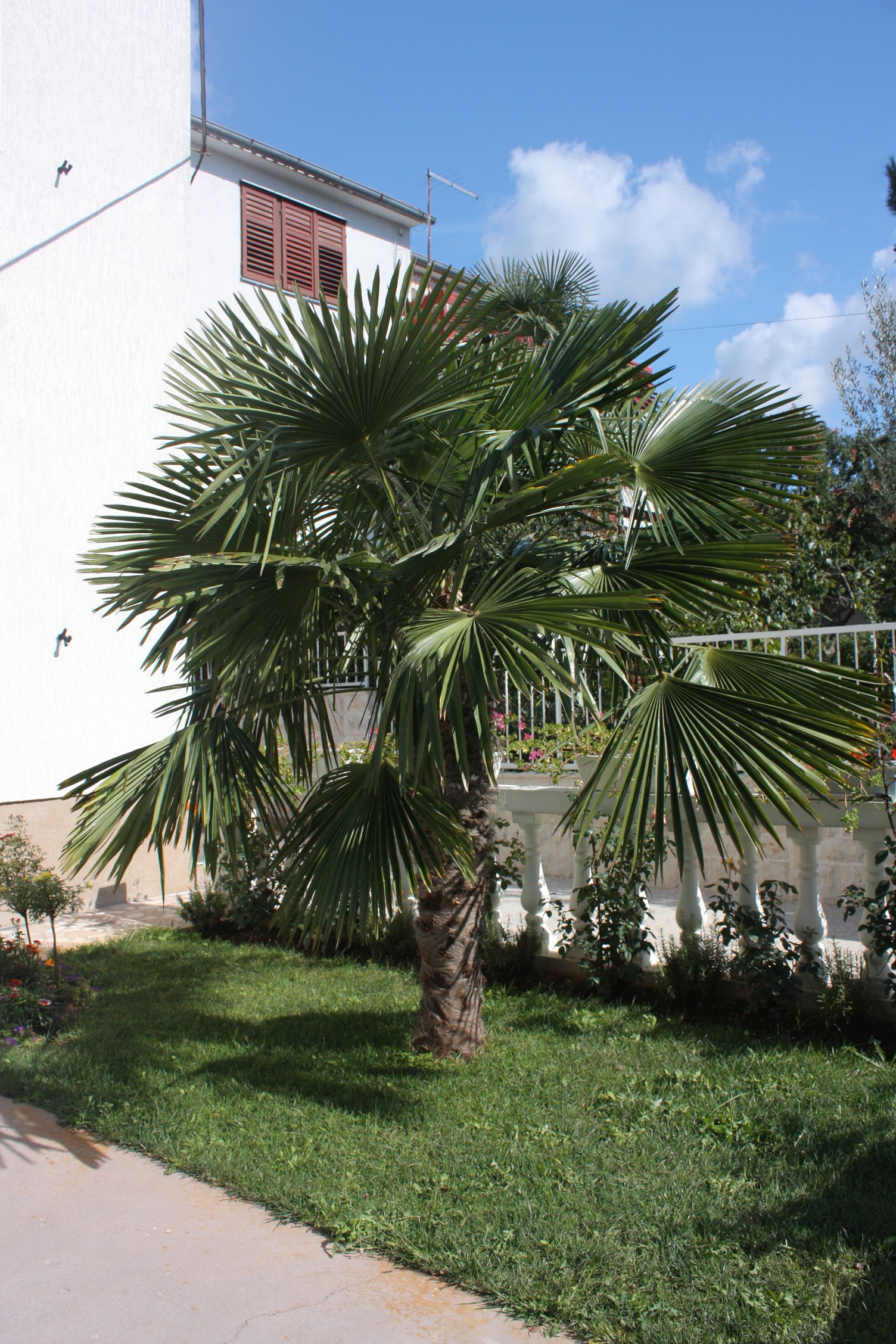 Dvosobni apartman s terasom Vodice  A-a