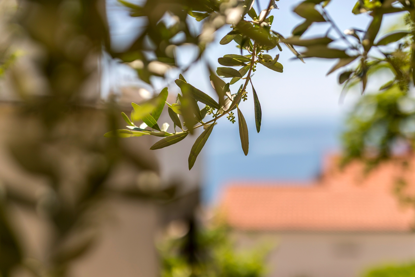 Jednosobni apartman s terasom i pogledom na more Baška Voda, Makarska  A-a