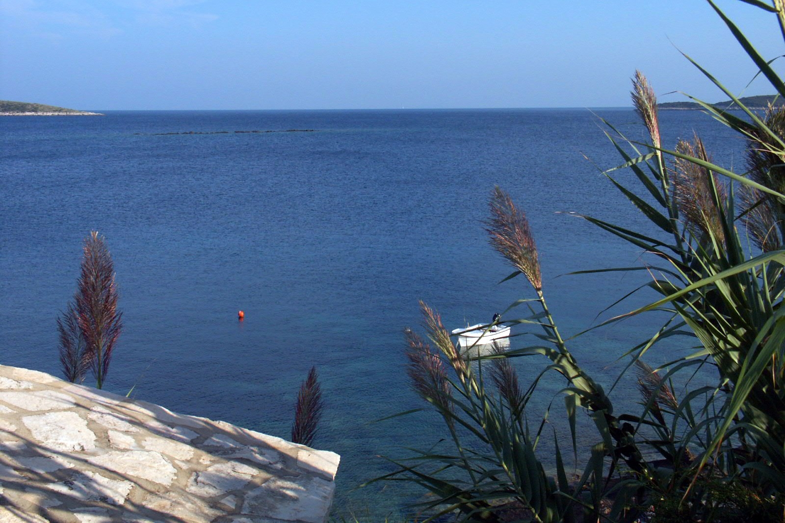 Top Vis Milna Top Vis Milna