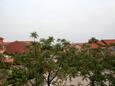 Terrace - view Gajac, Terrace - view in the room, WIFI.