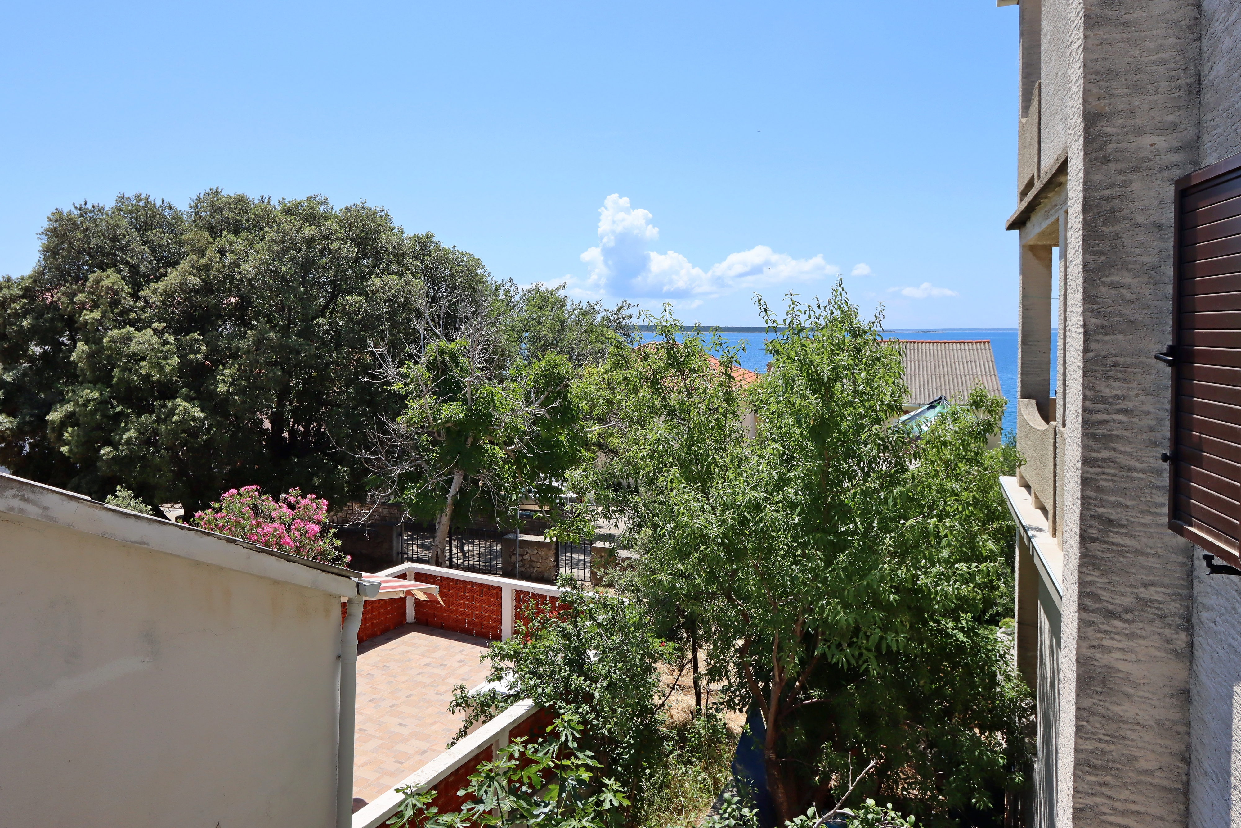 Studio flat with balcony and sea view Mandre, Pag  AS-b