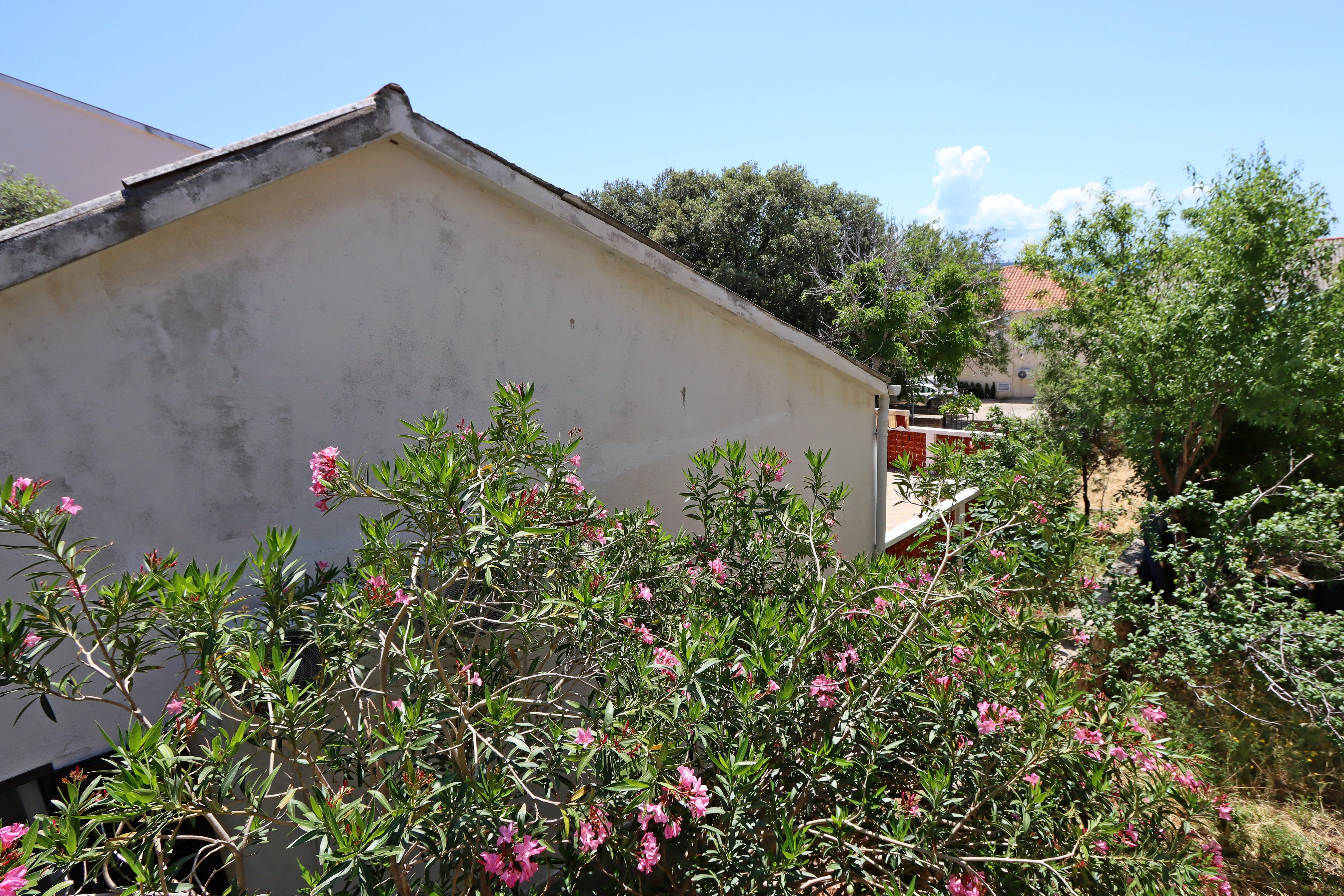 Studio flat with balcony and sea view Mandre, Pag  AS-b