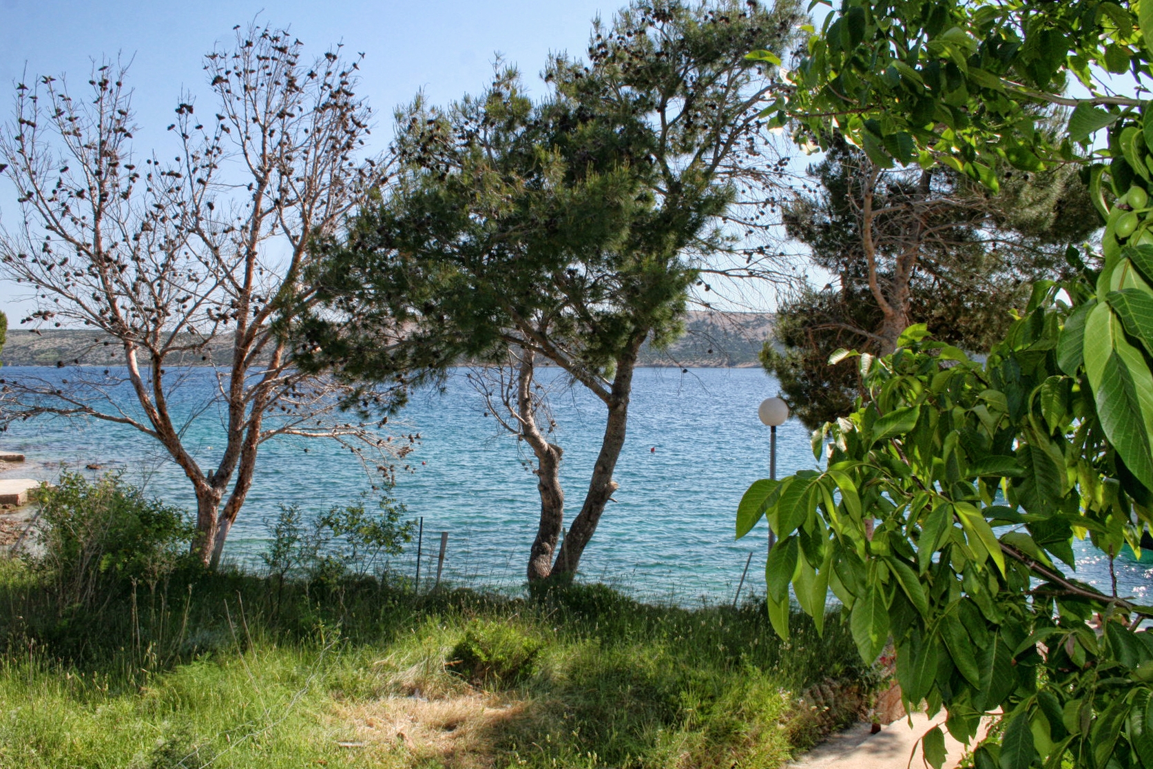 Two bedroom apartment near beach Stara Novalja, Pag  A-a