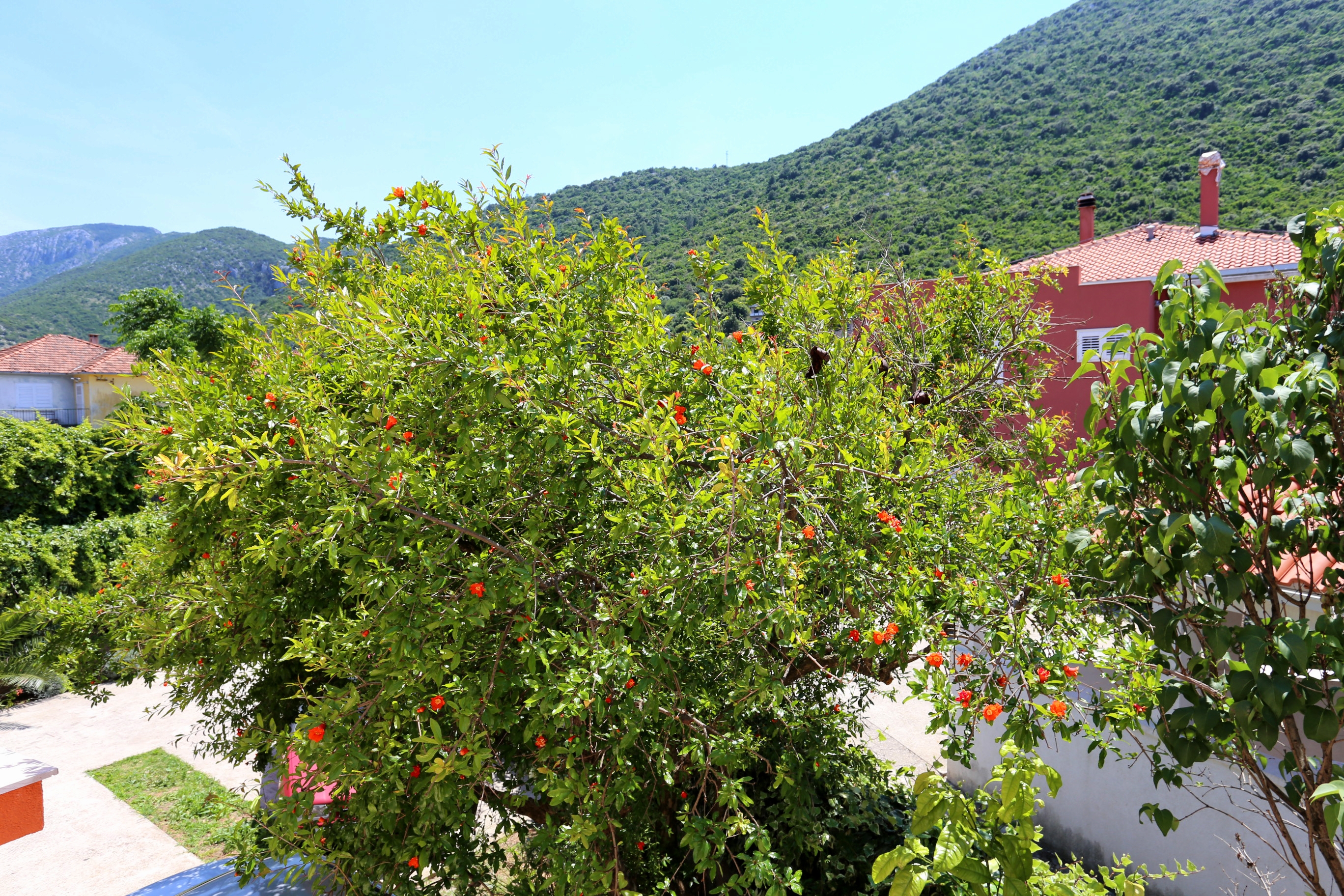 Top Pelješac Trpanj Top Pelješac Trpanj