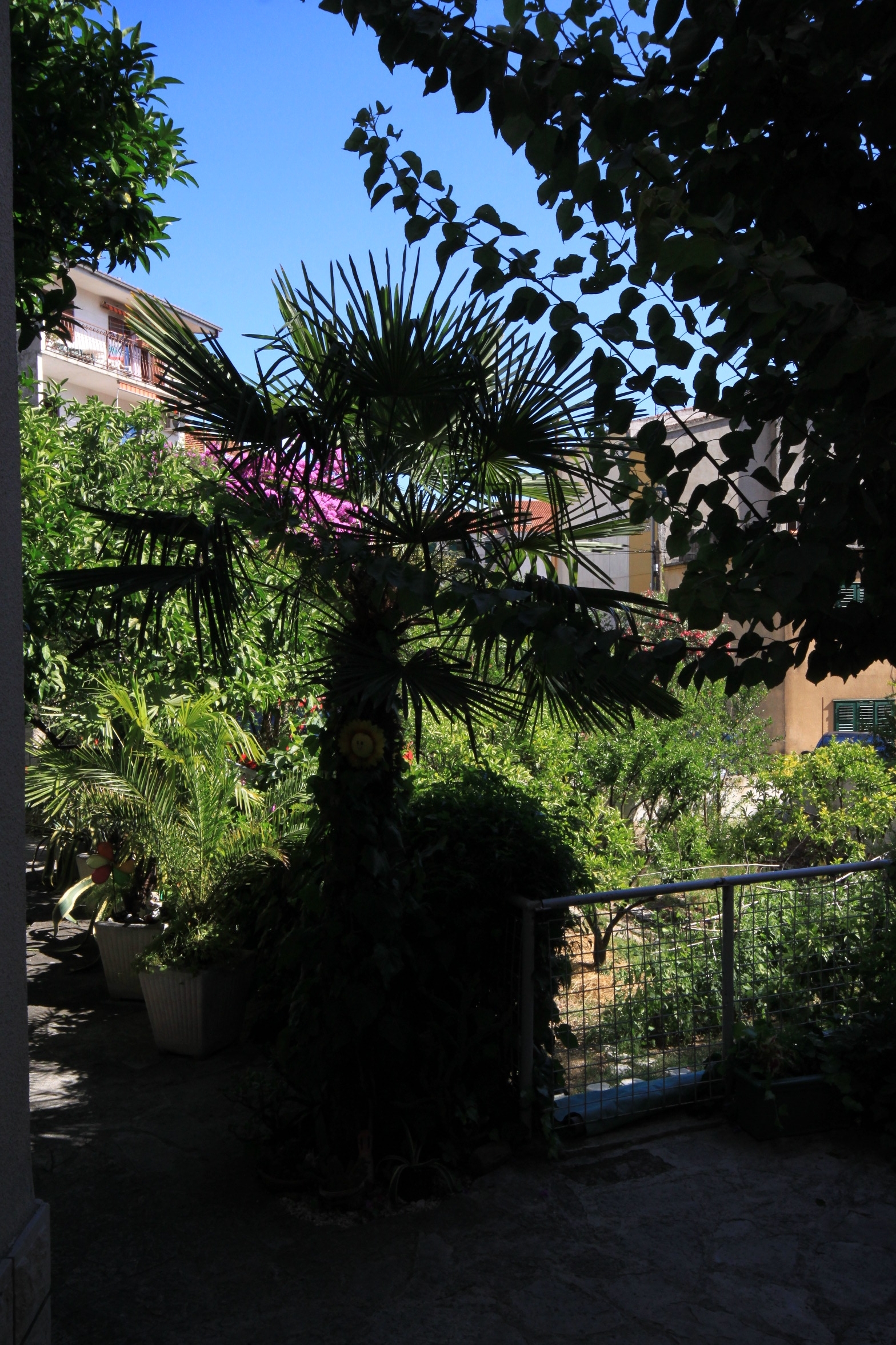 Two bedroom apartment with balcony and sea view Podgora, Makarska  A-c