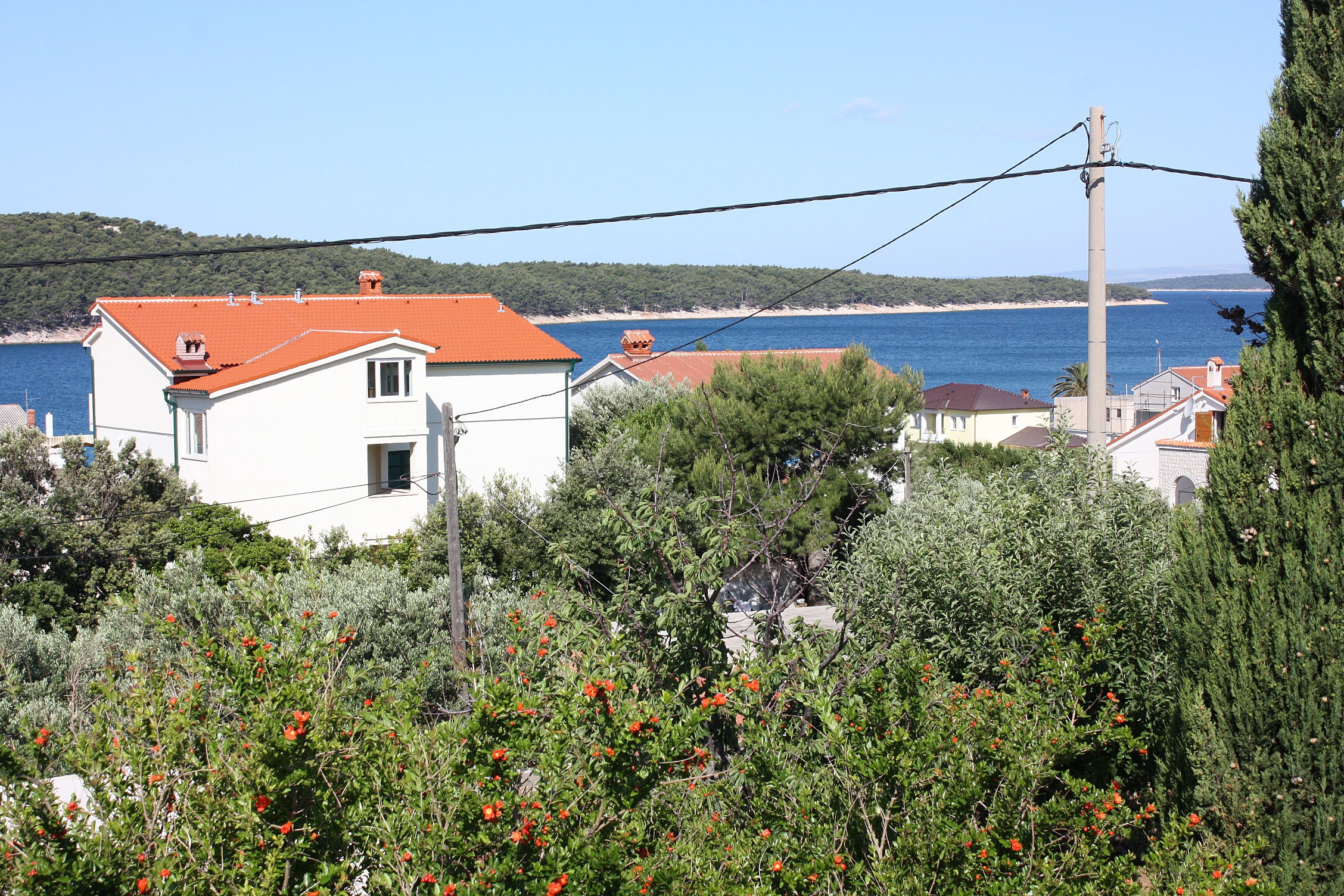 Studio flat with terrace and sea view Barbat, Rab  AS-b