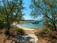 Zuborovica, Pašman, Cour 321 - Maison vacances à proximité de la mer avec une plage de sables.