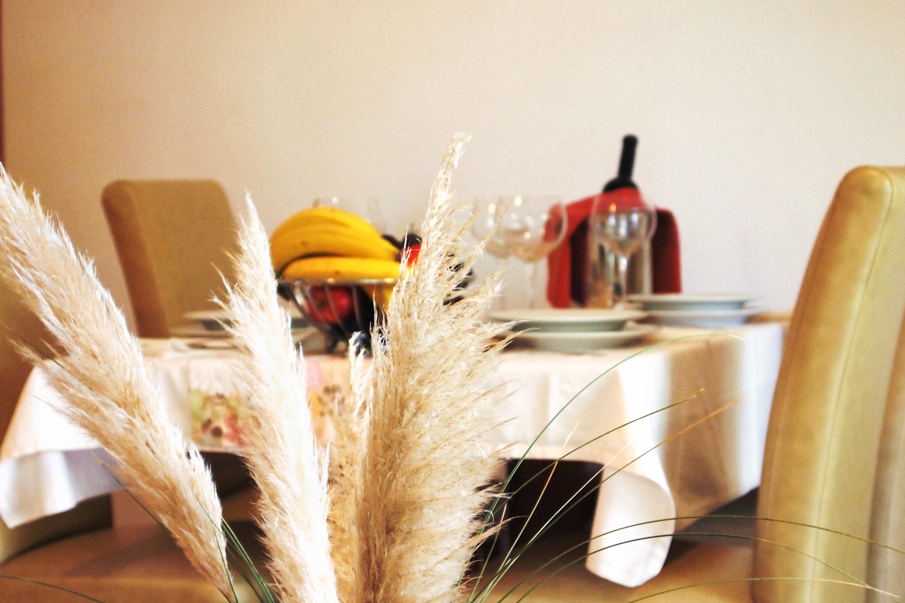 Top Rab Kampor Top Rab Kampor