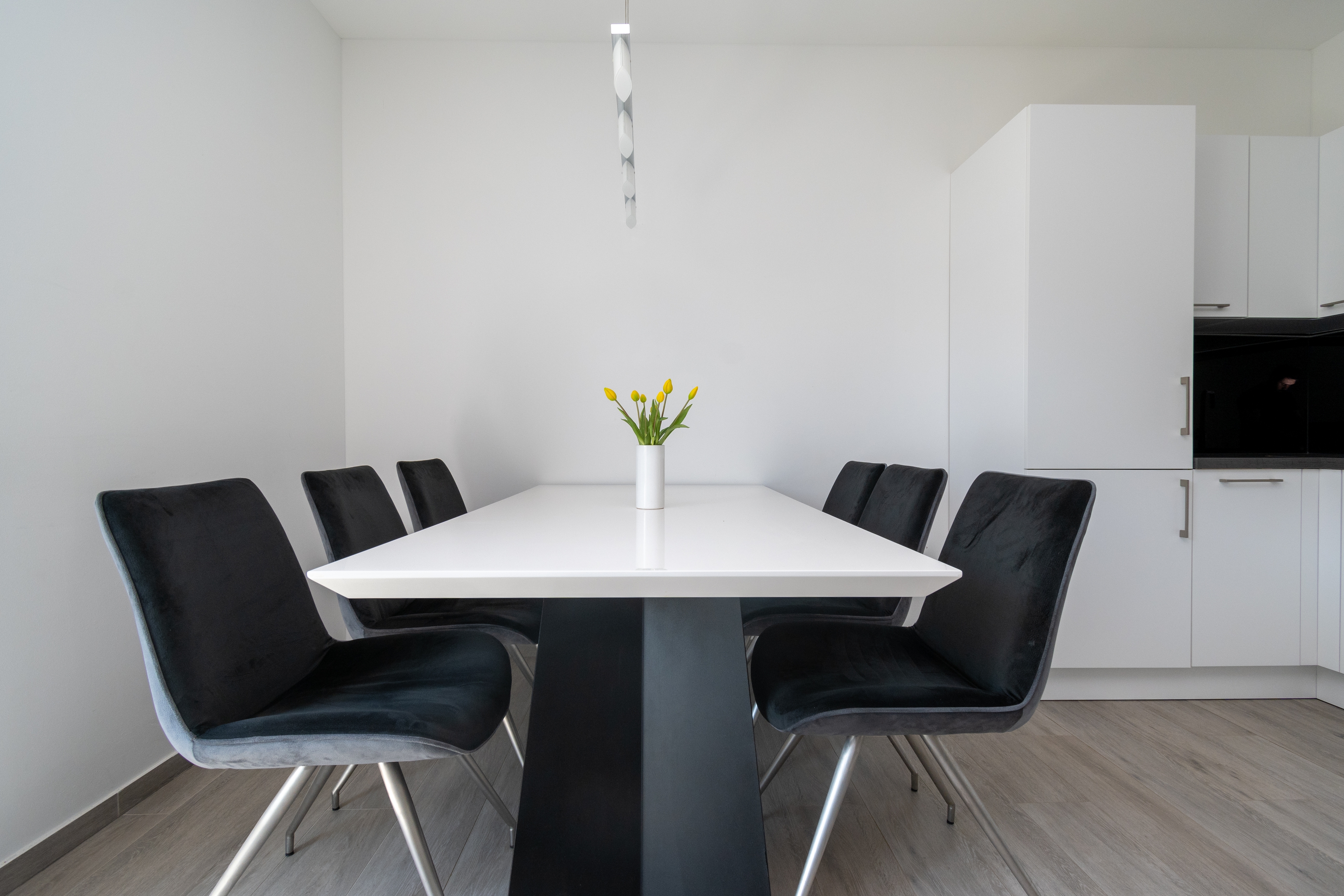 Top Pašman Neviđane Top Pašman Neviđane