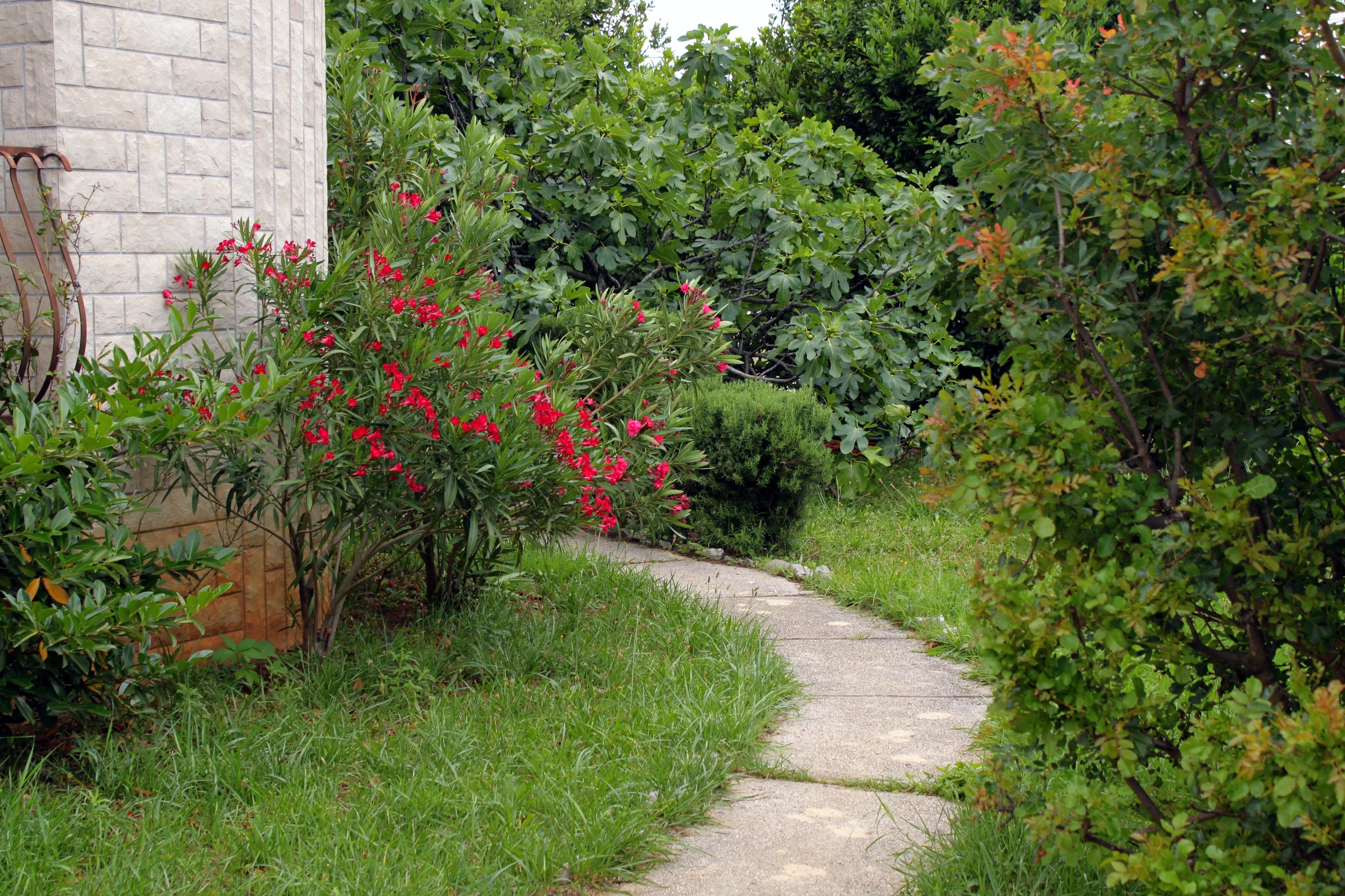 Studio flat with terrace and sea view Jadranovo, Crikvenica  AS-a