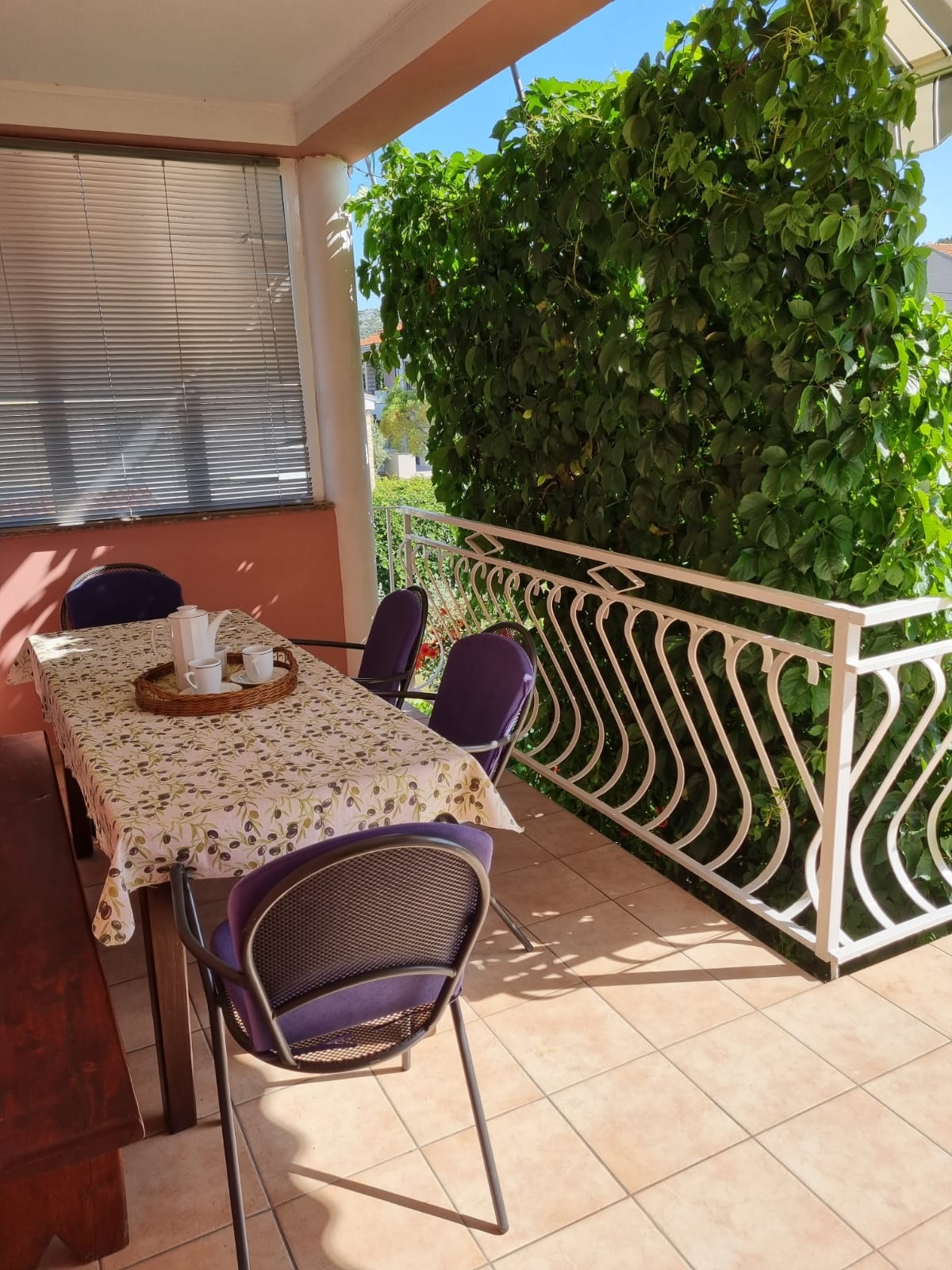 Top Pašman Neviđane Top Pašman Neviđane