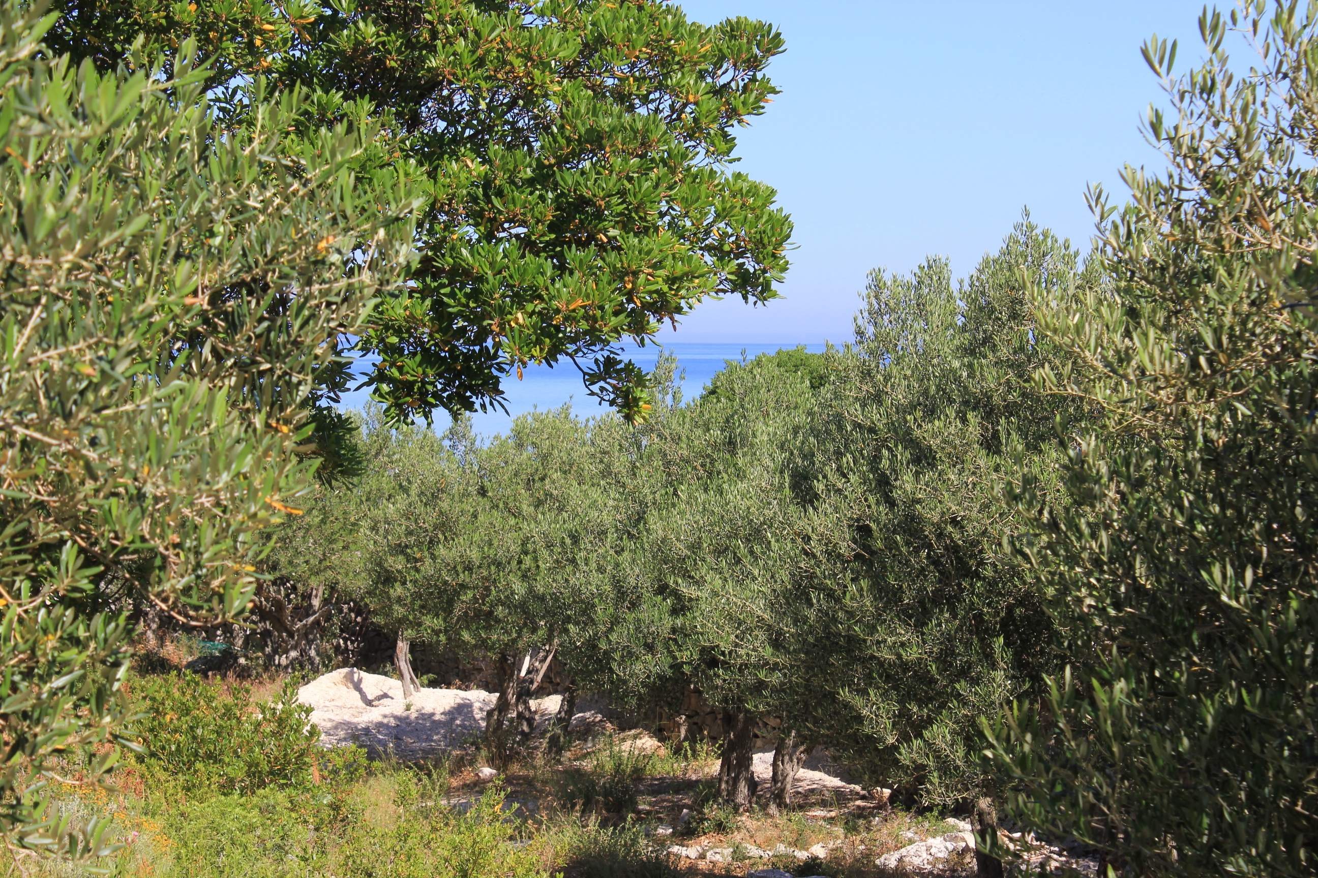 One bedroom house with terrace and sea view Cove Studenčić, Lošinj  K