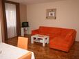 Living room Novalja, Living room in the apartment, (pet friendly) and WiFi.