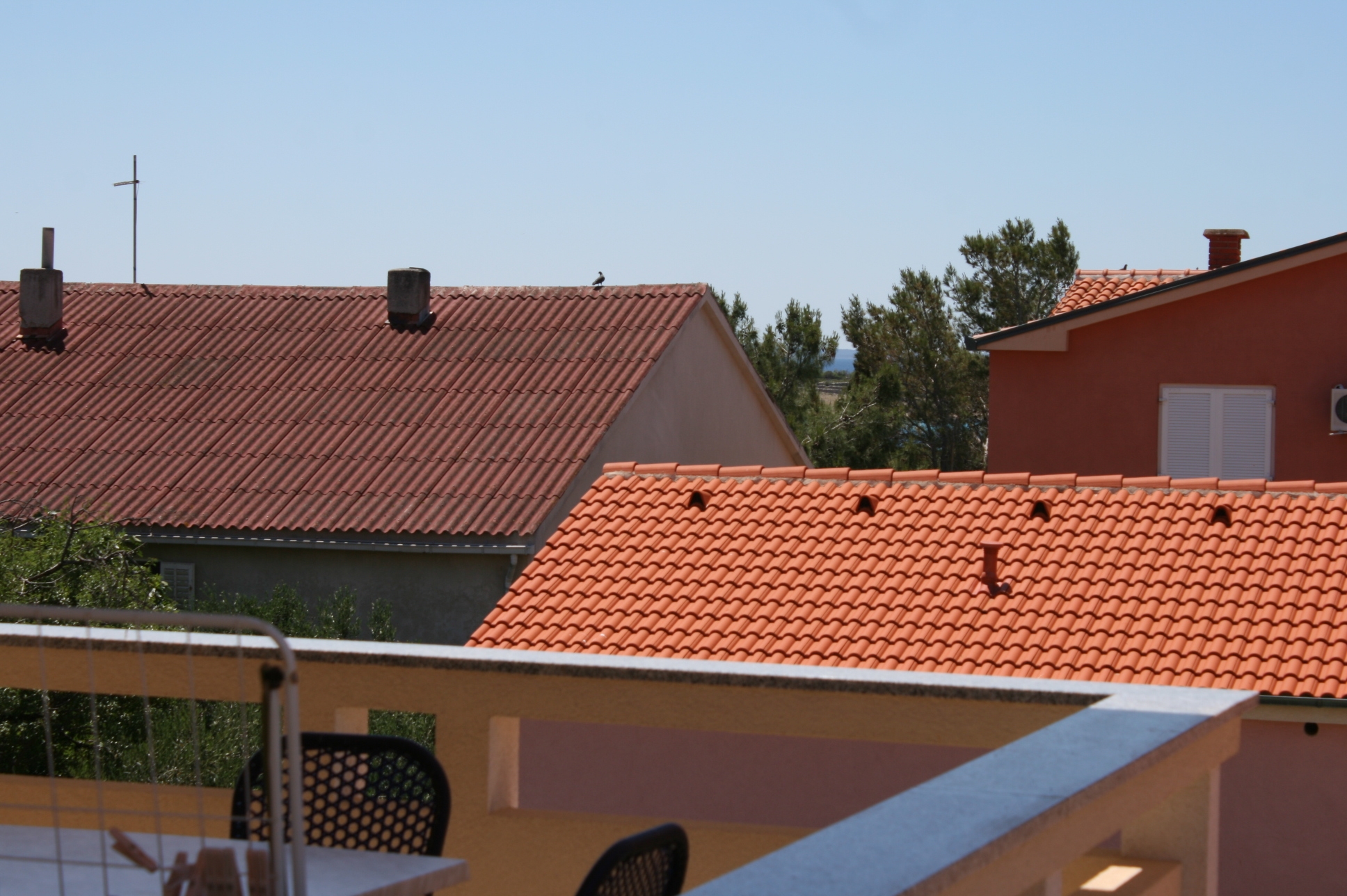 Top Pag Novalja Top Pag Novalja