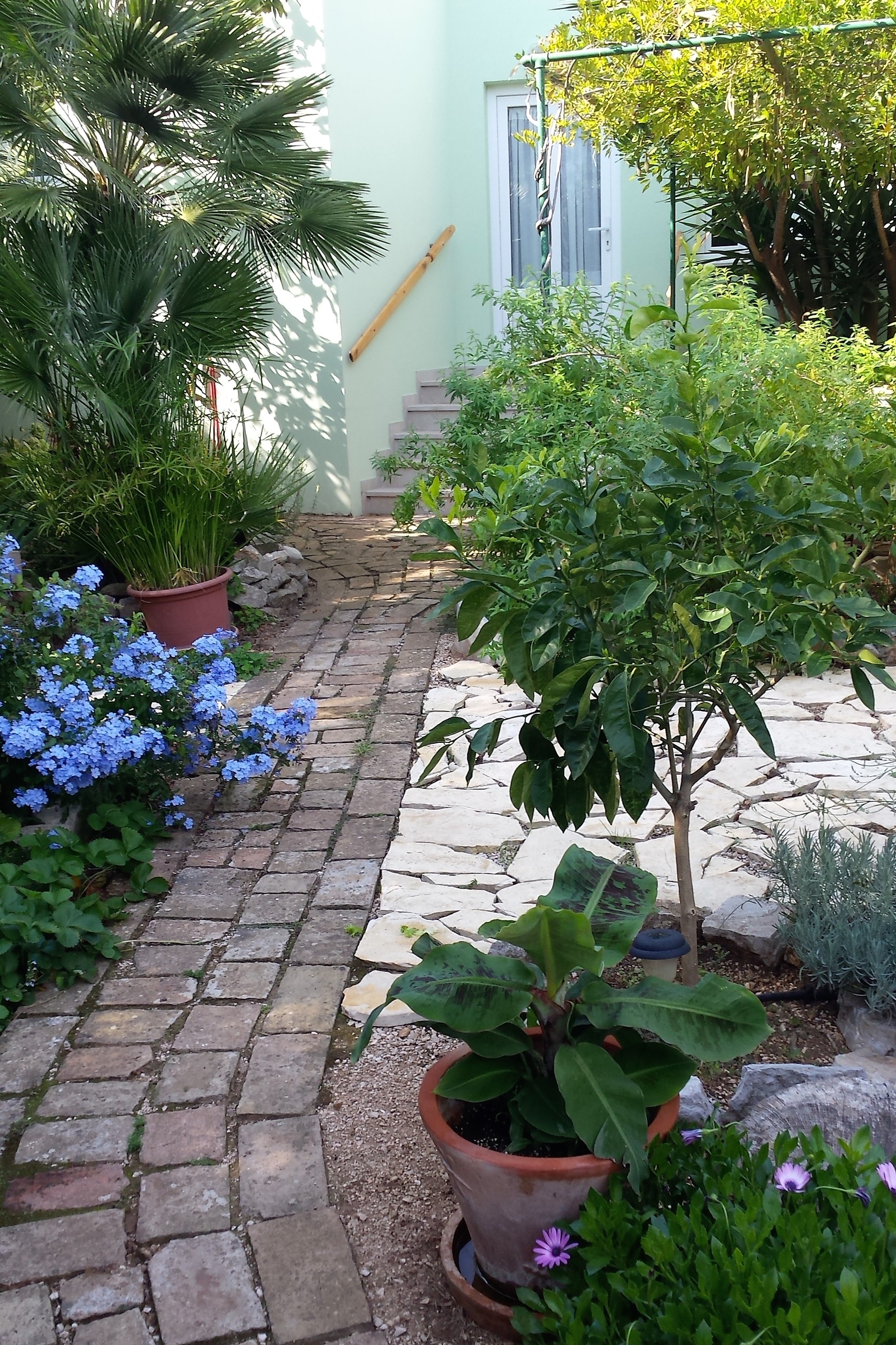 Top Lošinj Nerezine Top Lošinj Nerezine