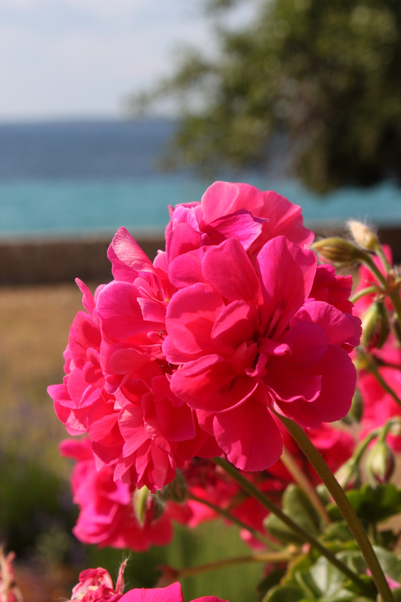 Dvosobni apartman uz plažu Lun, Pag  A-f