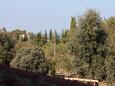 Terrace - view Vrsar, Terrace - view in the room, WIFI.