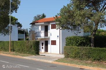 Dajla, Novigrad, Property 3371 - Apartments near sea with pebble beach.