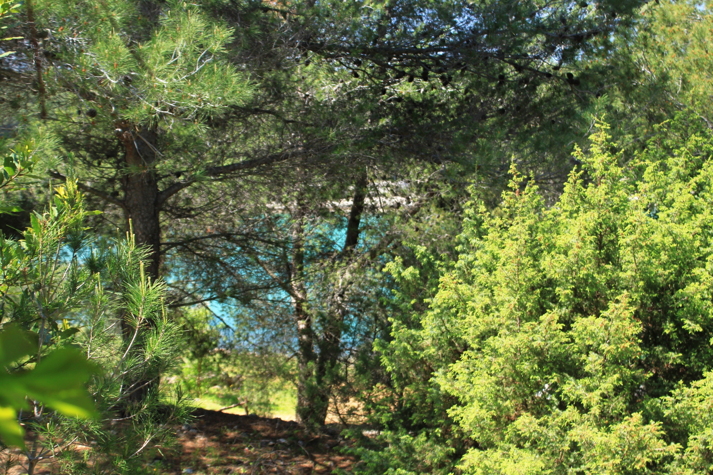One bedroom house near beach Cove Grebišće, Hvar  K