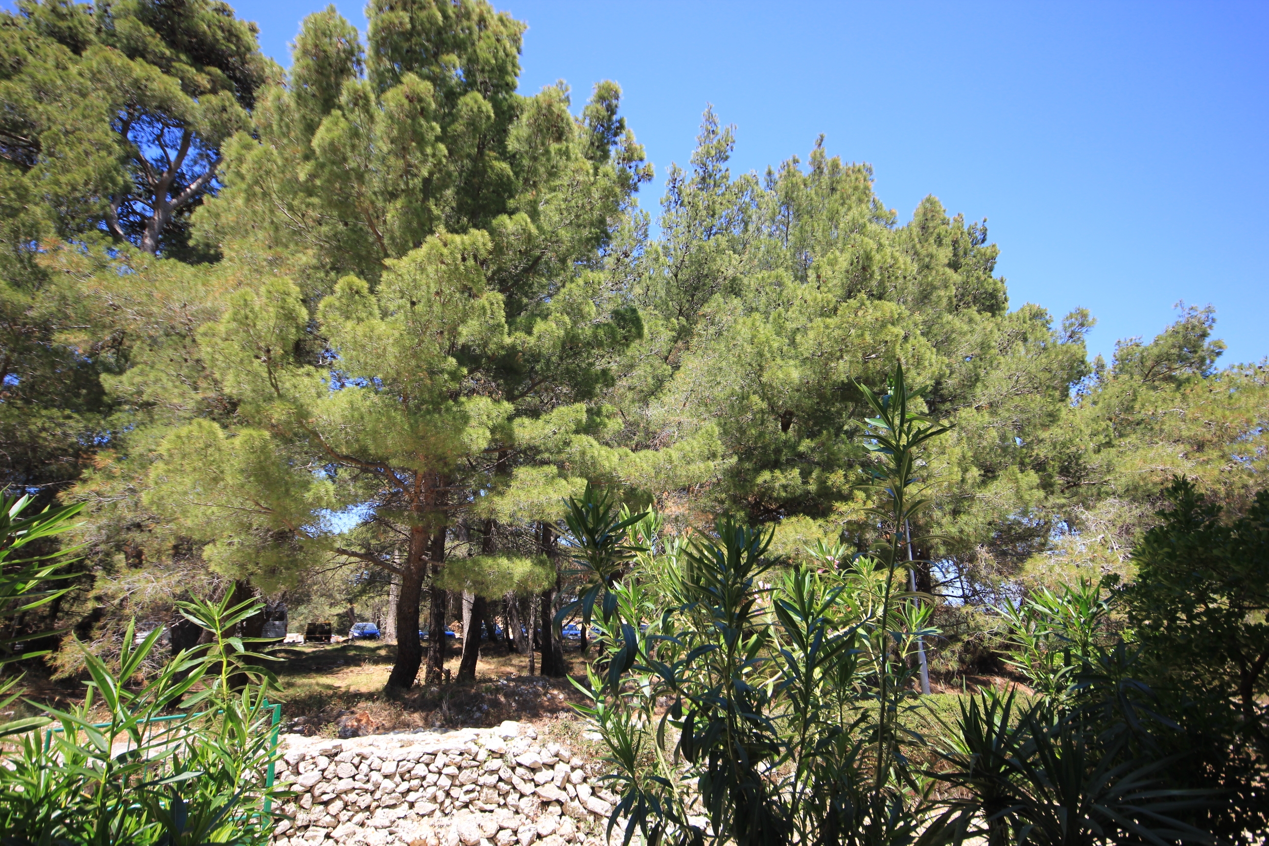Two bedroom apartment with balcony Mali Lošinj, Lošinj  A-a