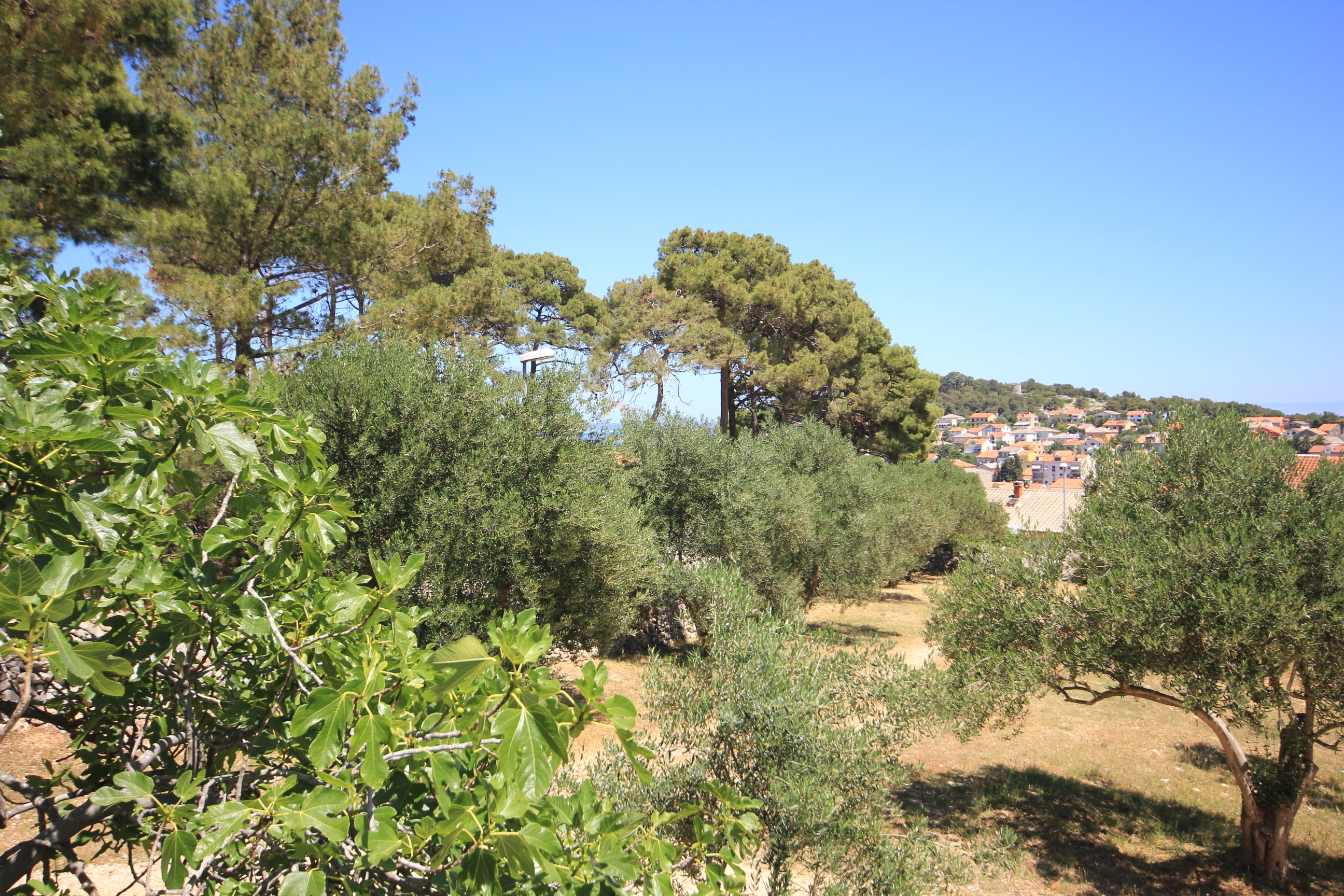 Two bedroom apartment with balcony Mali Lošinj, Lošinj  A-a