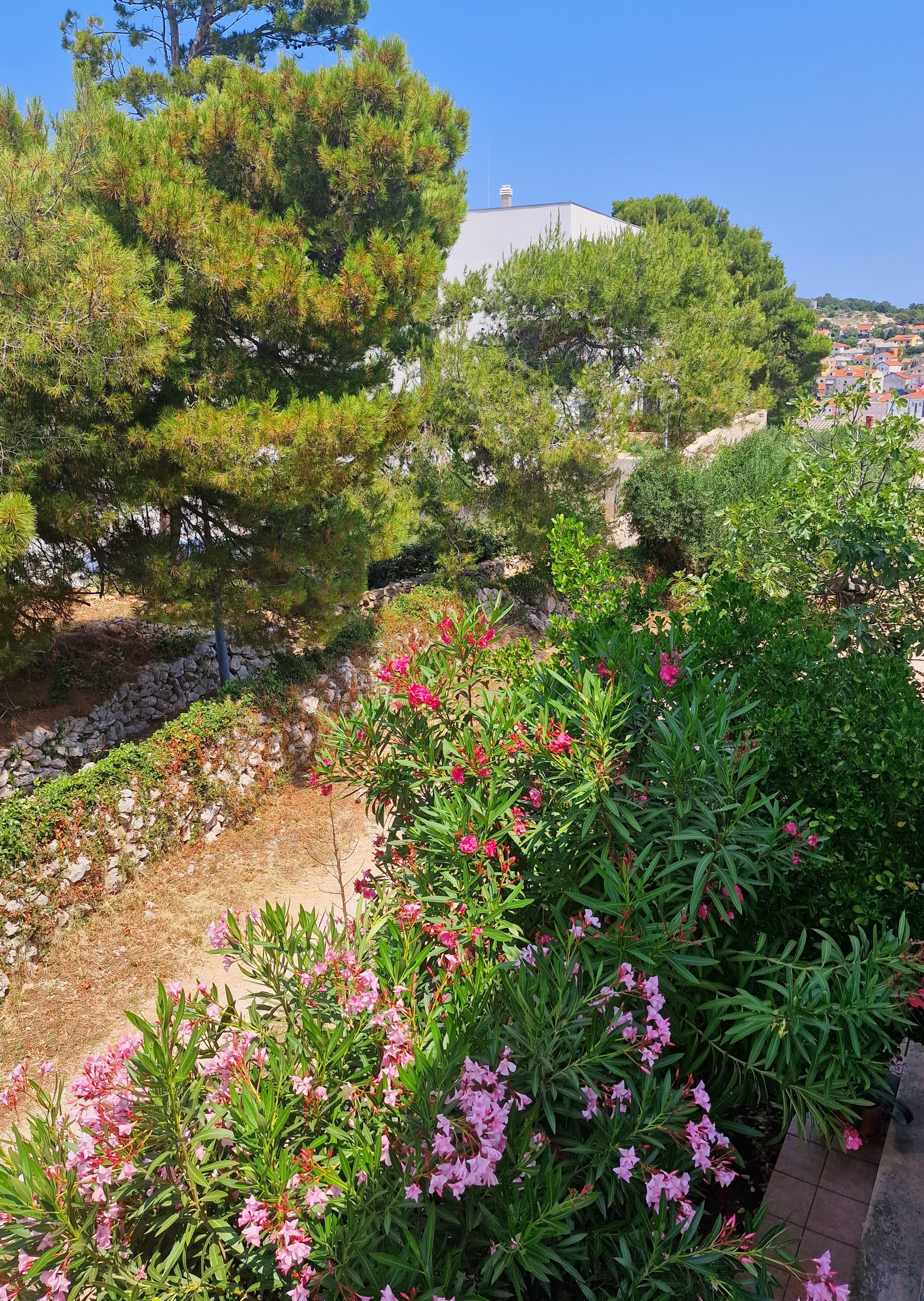 Room with terrace Mali Lošinj, Lošinj  S-i