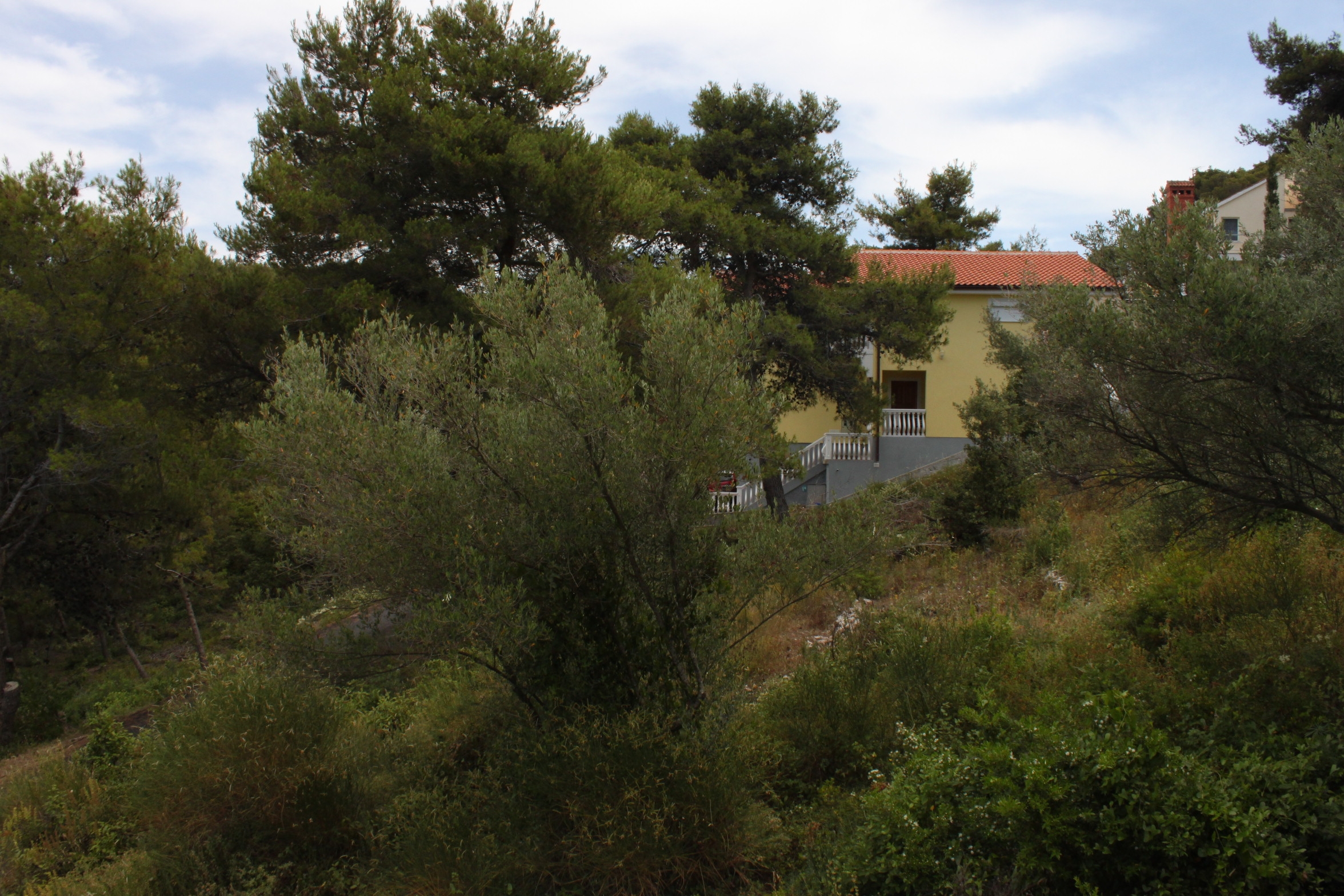 Two bedroom apartment near beach Kali, Ugljan  A-a