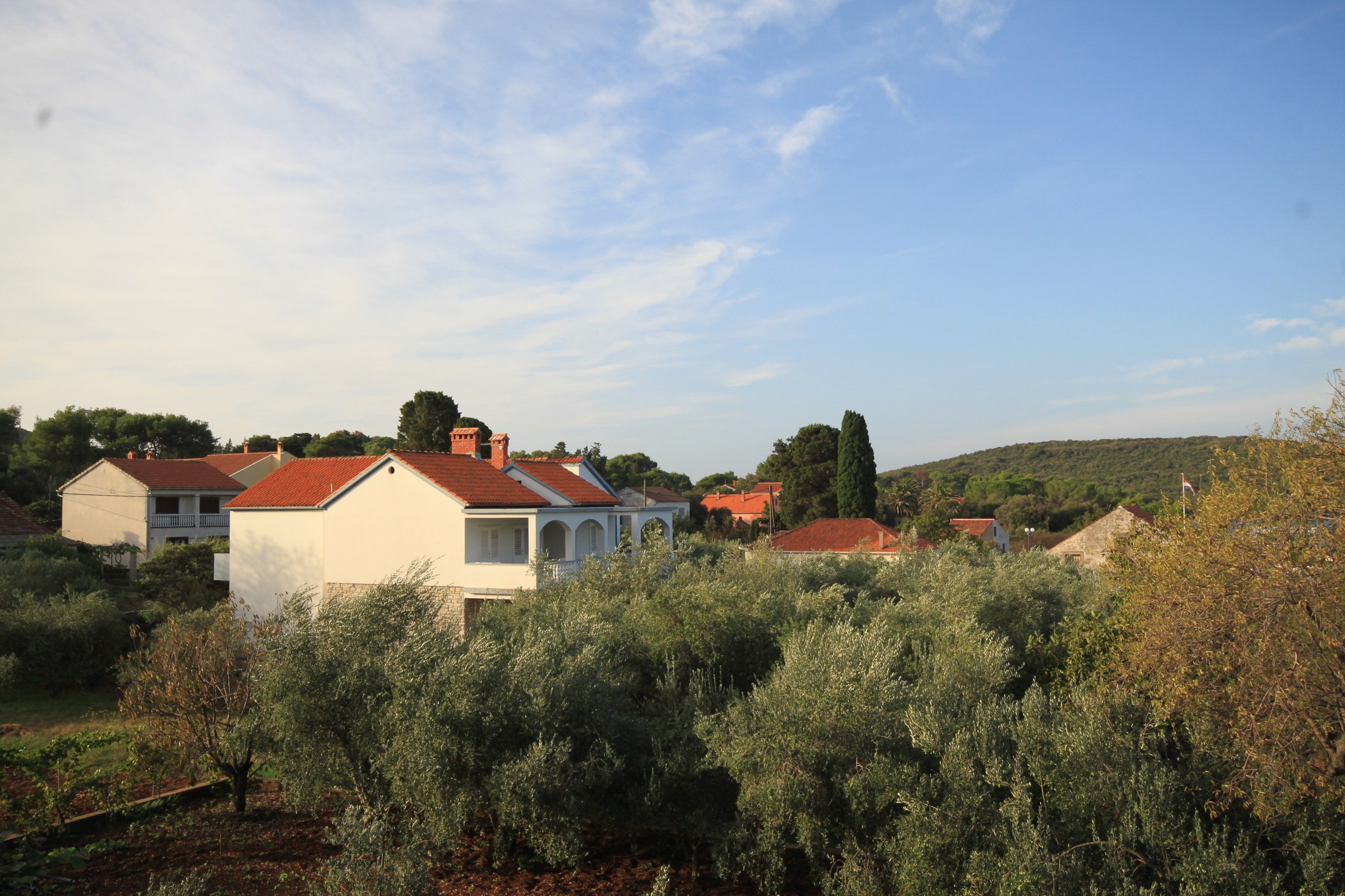 Top Ugljan Muline Top Ugljan Muline