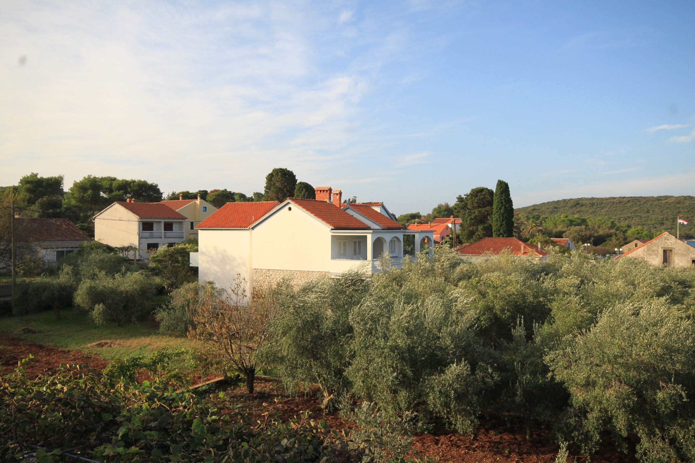 Top Ugljan Muline Top Ugljan Muline