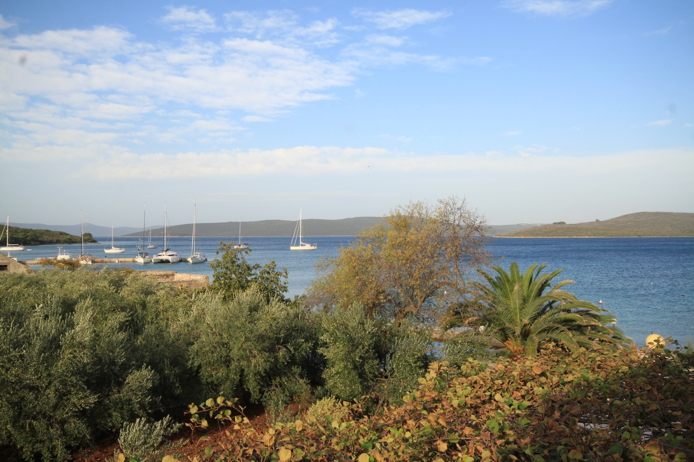 Top Ugljan Muline Top Ugljan Muline