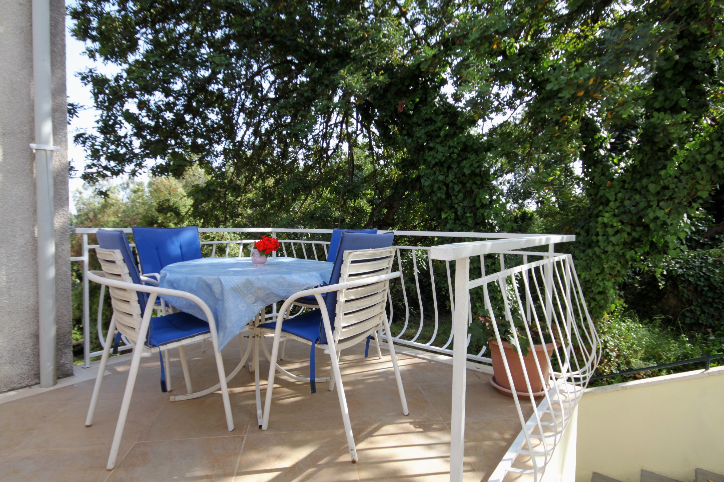 Studio flat near beach Molunat, Dubrovnik  AS-a