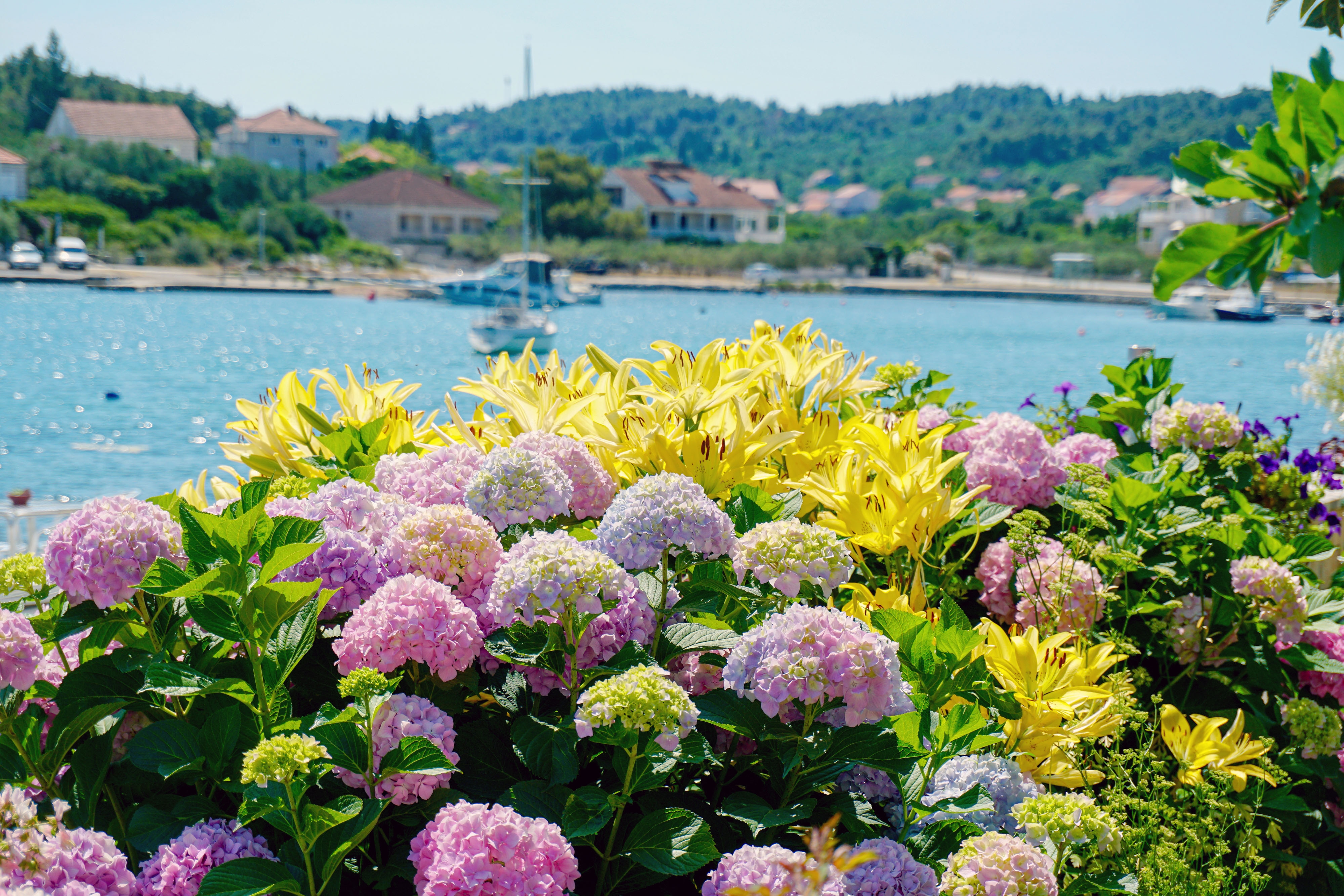 Two bedroom apartment near beach Lumbarda, Korčula (A-3554-a)
